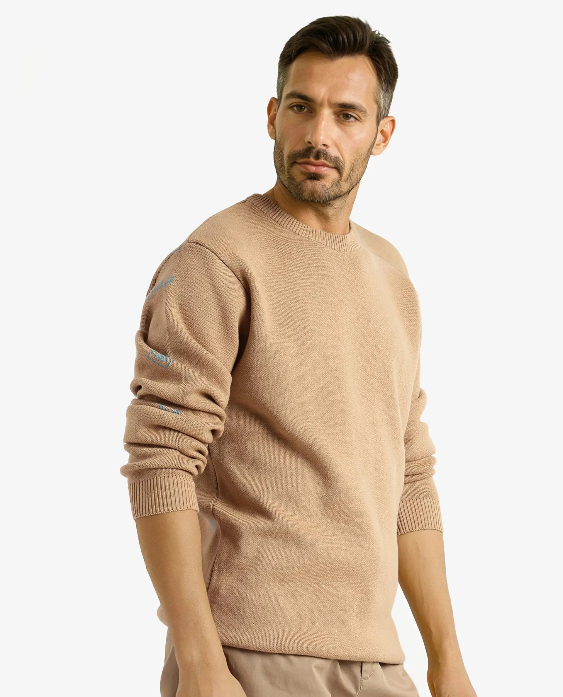 Rare Rabbit Men's Mario Beige Cotton Fabric Full Sleeve Crew Neck Jacquard Sweater
