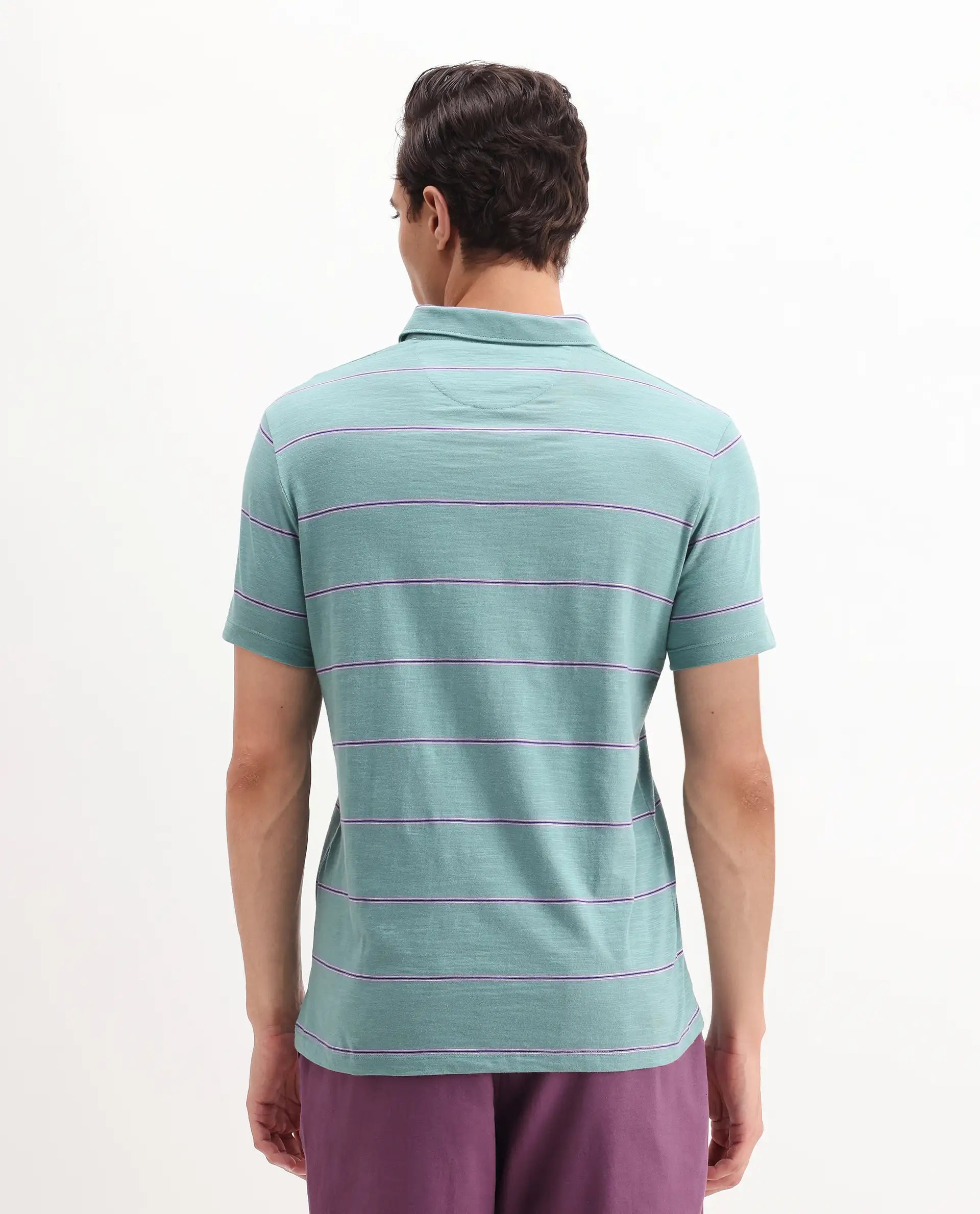 Rare Rabbit Men's Neonss Green Cotton Striped Print Regular Fit Half Sleeve Polo