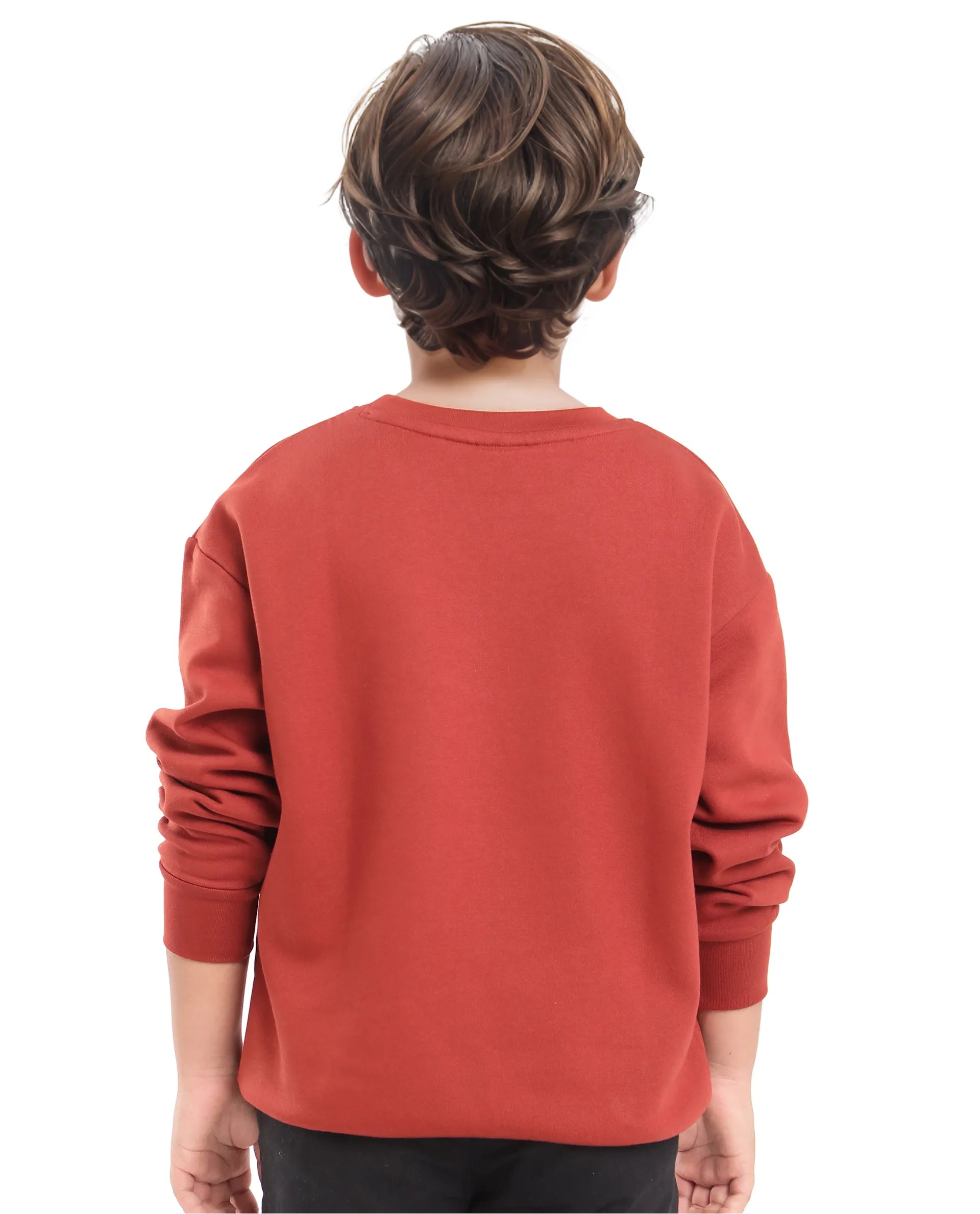 Rare Ones Kids Niret Rust Cotton Poly Full Sleeve Embroidered Sweatshirt