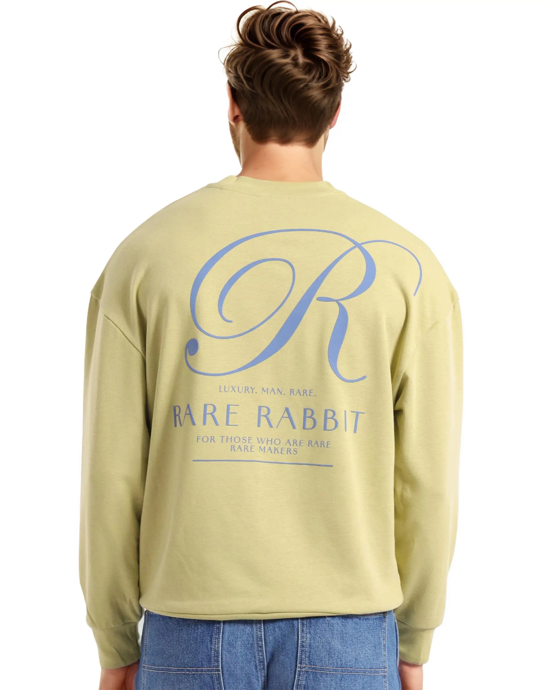 Rare Rabbit Men's Ore Pastel Green Cotton Blend Fabric Full Sleeve Crew Neck Boxy Fit Printed Sweatshirt