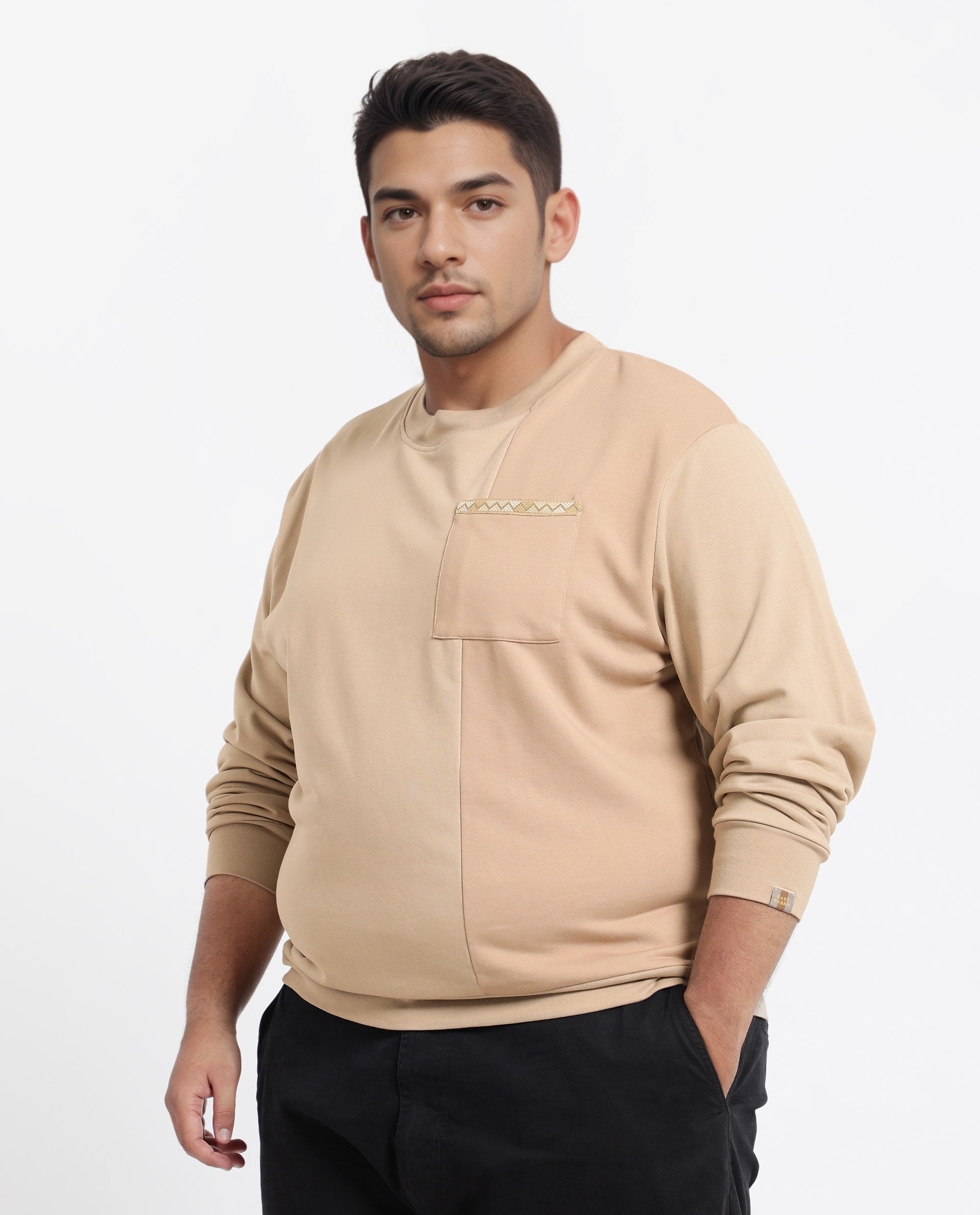 Rare Rabbit Men's Otese-L Beige Cotton Blend Cut And Sew Plus Size Full Sleeve Crew Neck Sweatshirt