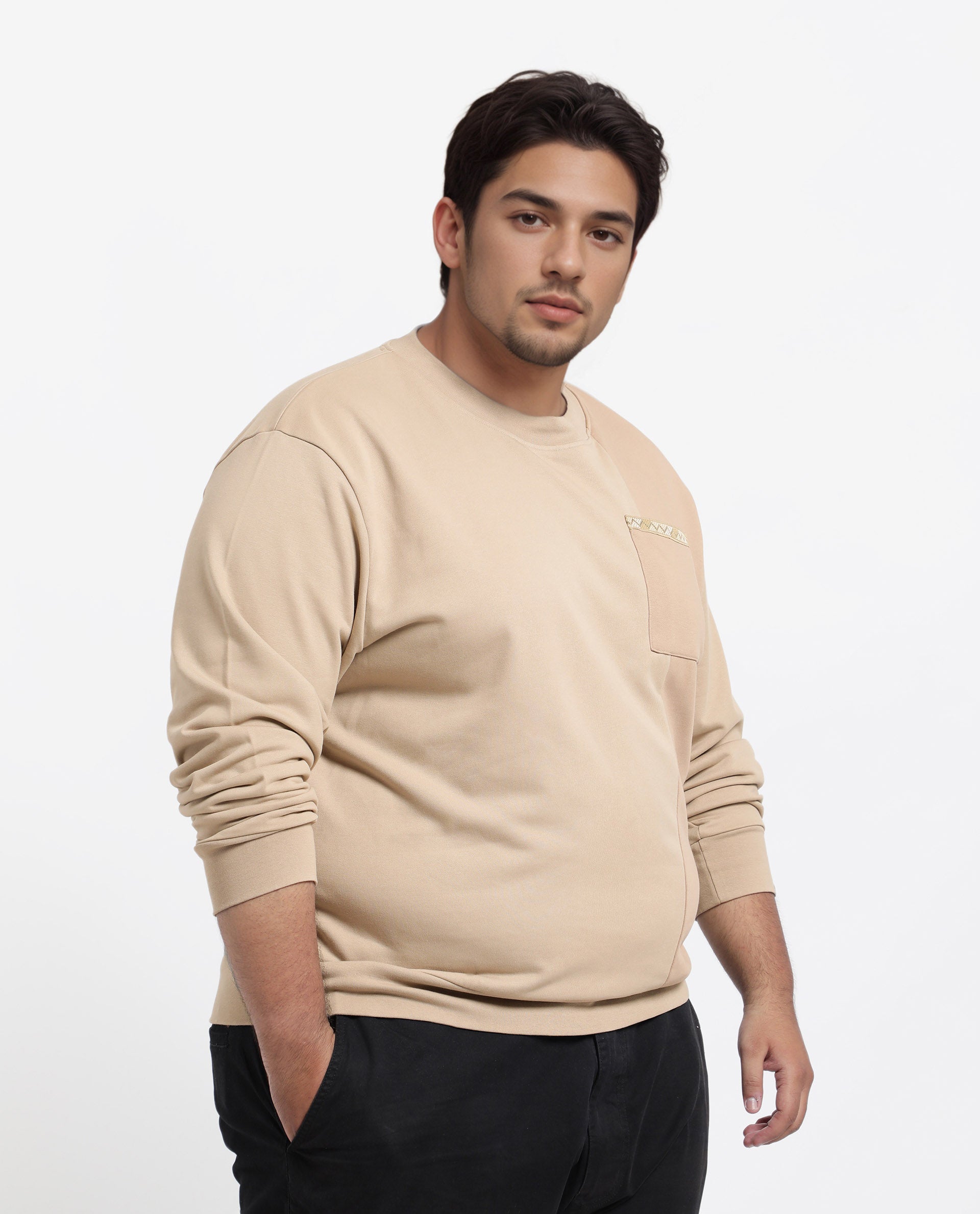 Rare Rabbit Men's Otese-L Beige Cotton Blend Cut And Sew Plus Size Full Sleeve Crew Neck Sweatshirt