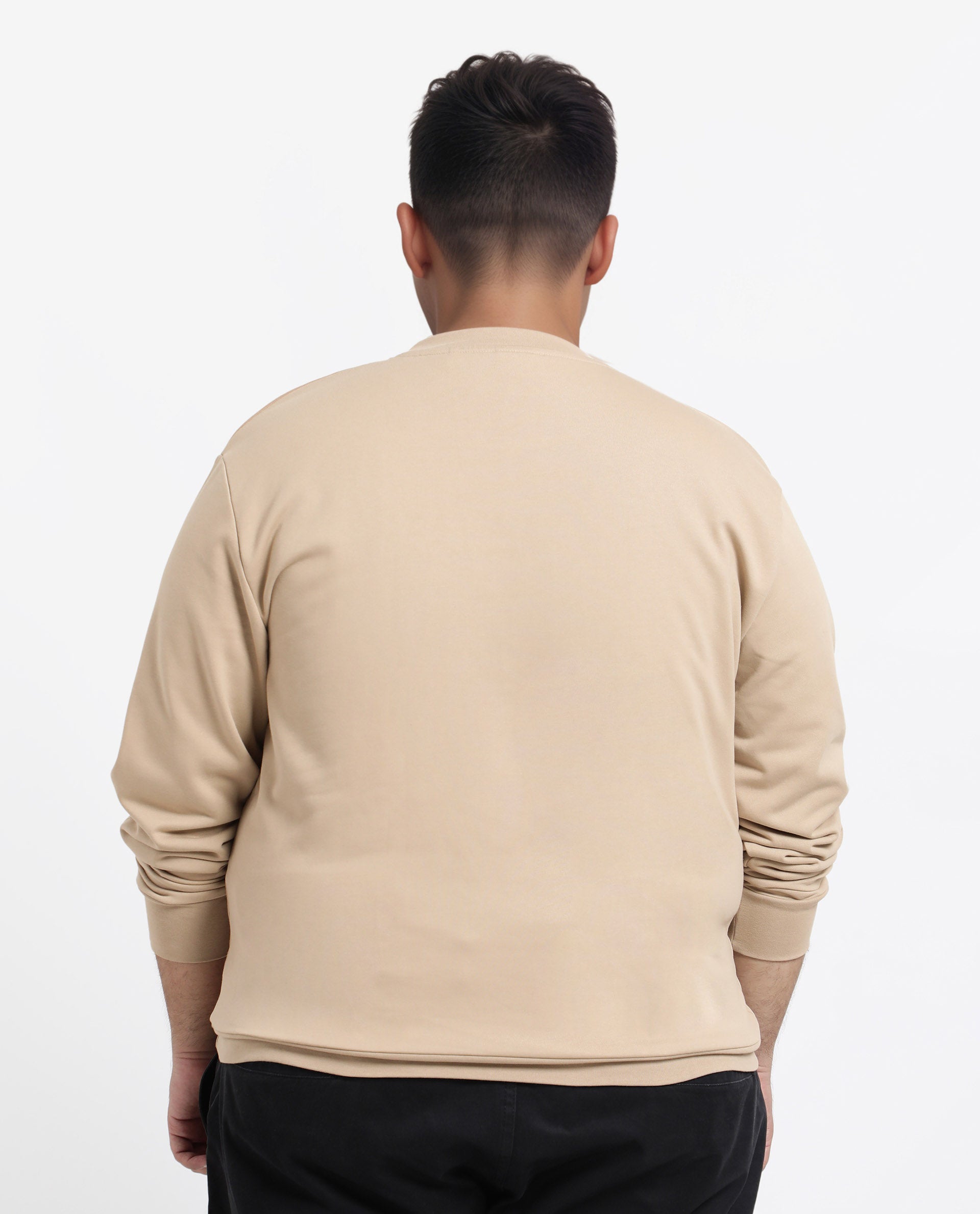 Rare Rabbit Men's Otese-L Beige Cotton Blend Cut And Sew Plus Size Full Sleeve Crew Neck Sweatshirt