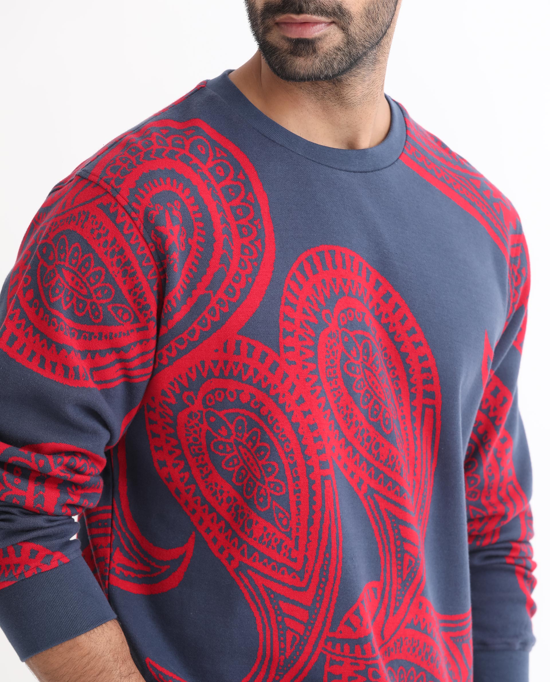 Rare Rabbit Men's Paiza Dusky Blue Cotton Polyester Fabric Full Sleeves Paisley Print Knitted Sweatshirt