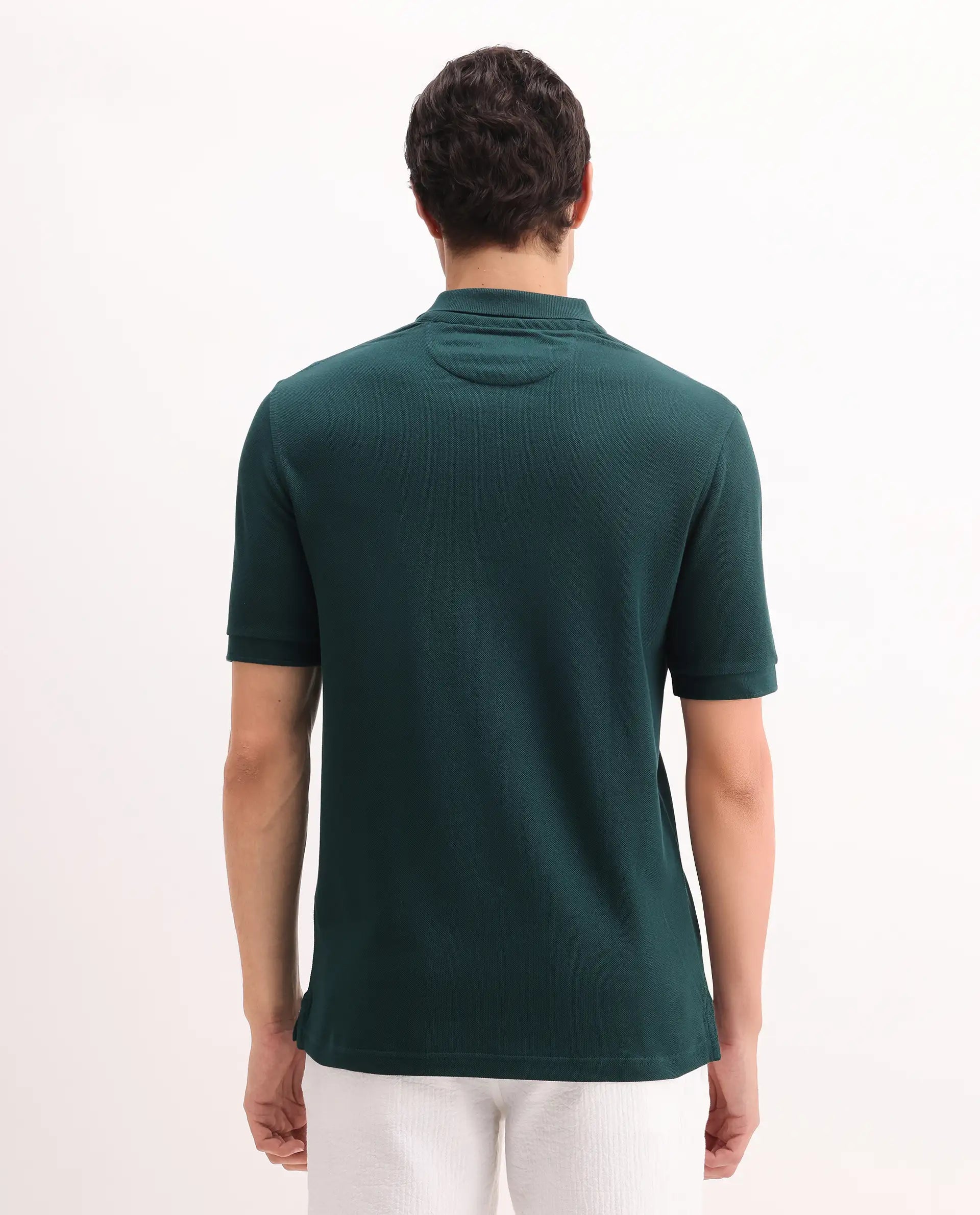 Rare Rabbit Men's Pare Green Cotton Embroidered Regular Fit Half Sleeve Polo