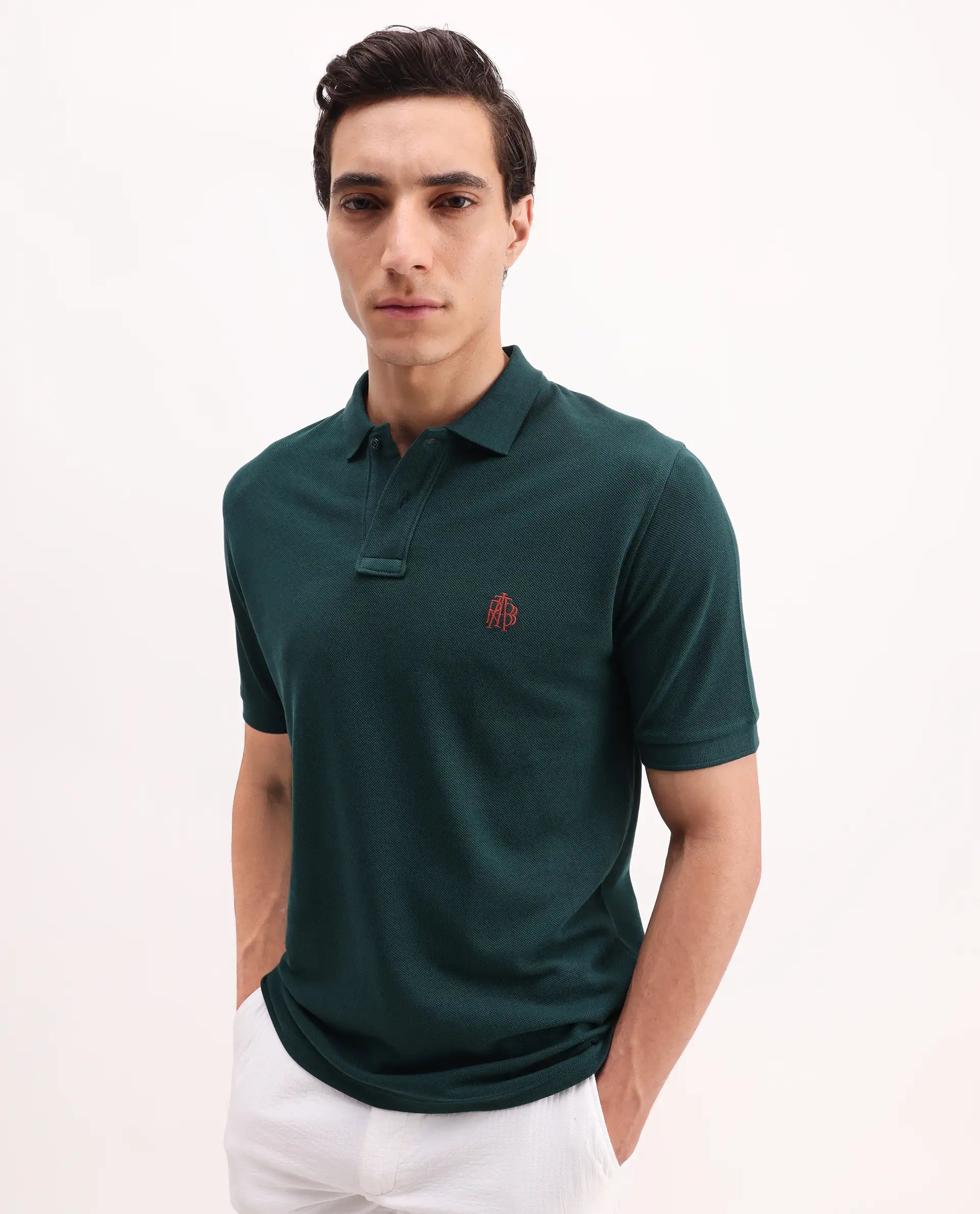 Rare Rabbit Men's Pare Green Cotton Embroidered Regular Fit Half Sleeve Polo