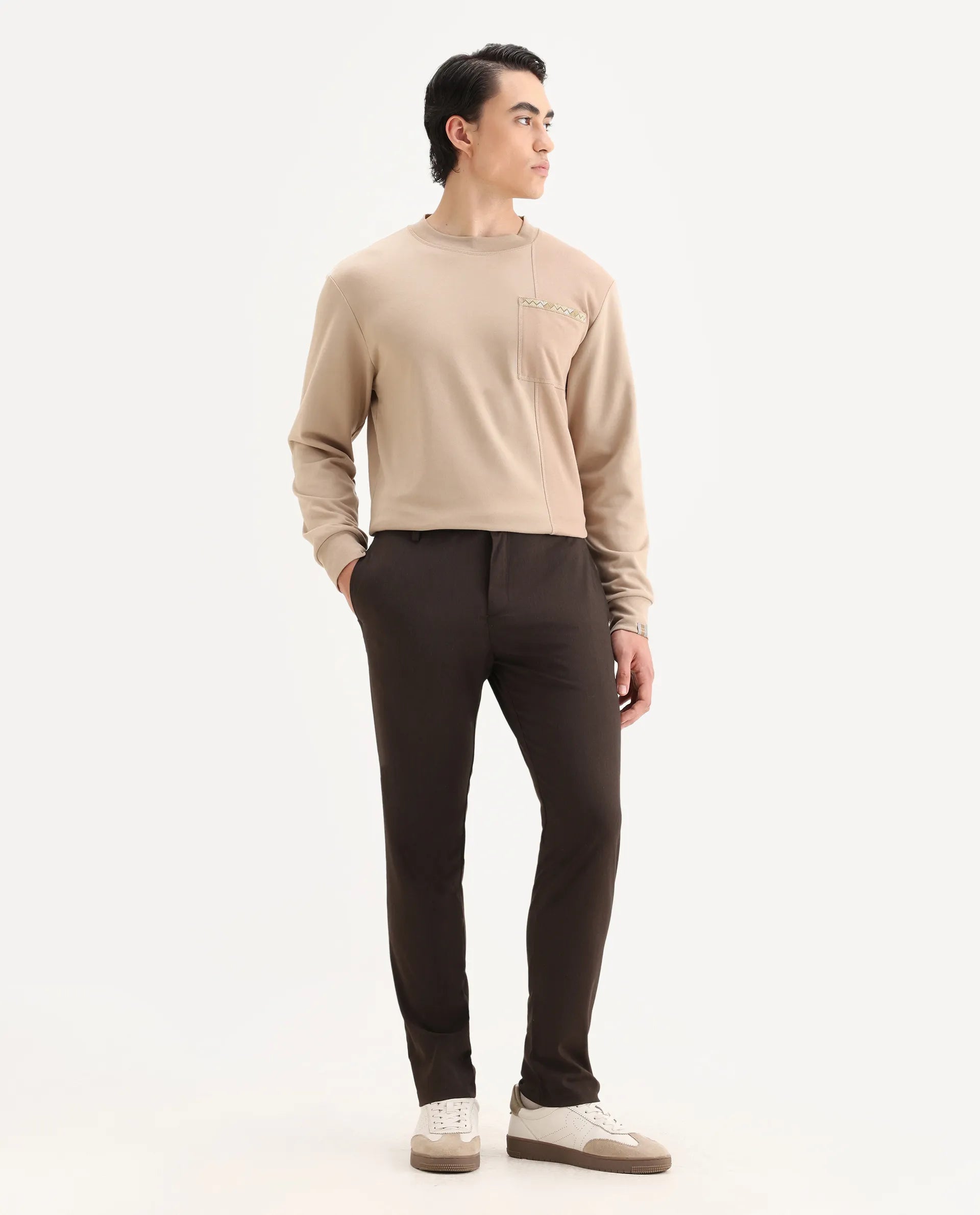 Rare Rabbit Men's Piper Brown Polyester Striped Print Regular Fit Trouser