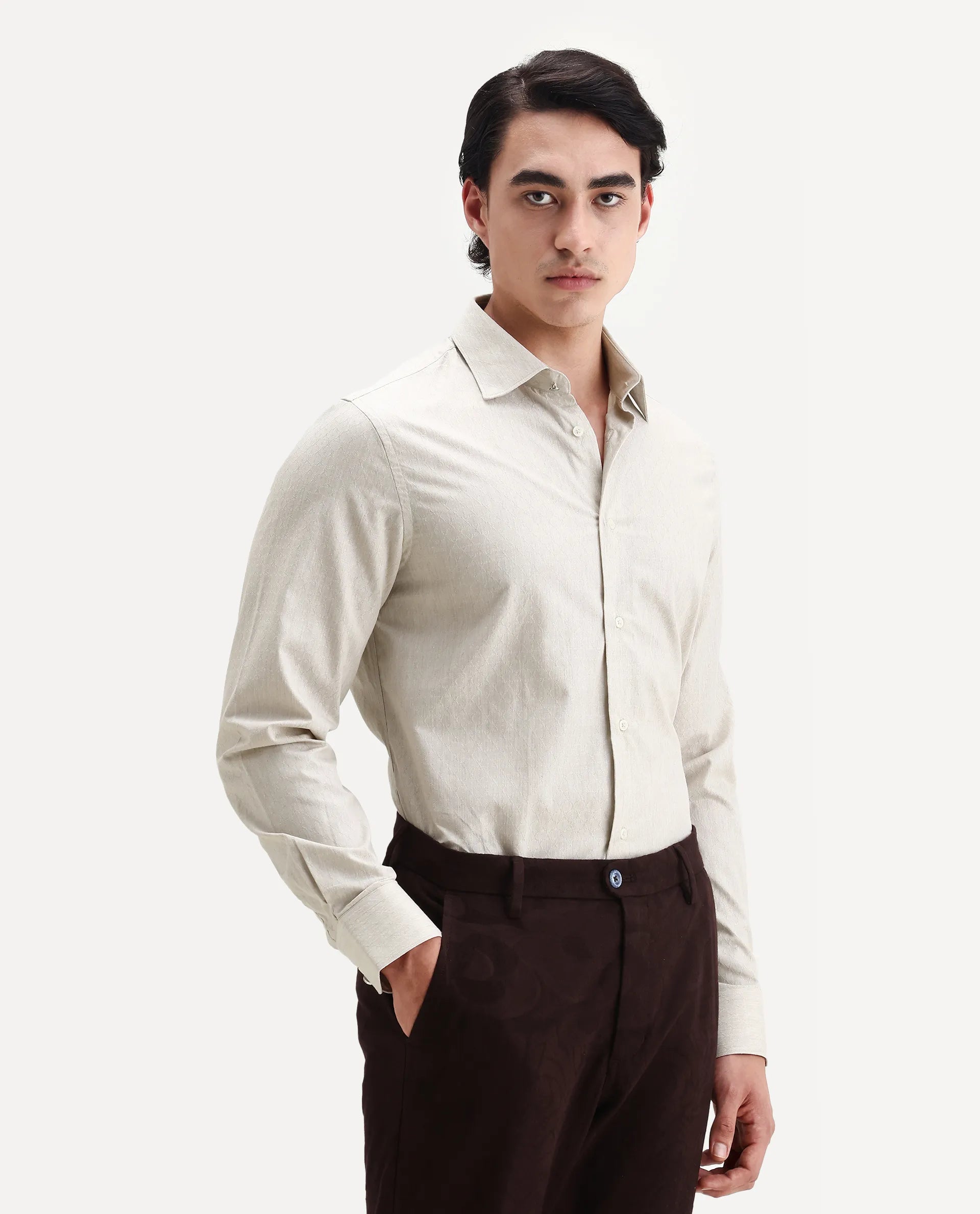 Rare Rabbit Men's Plib Beige Cotton Jacquard Regular Fit Full Sleeve Collared Shirt