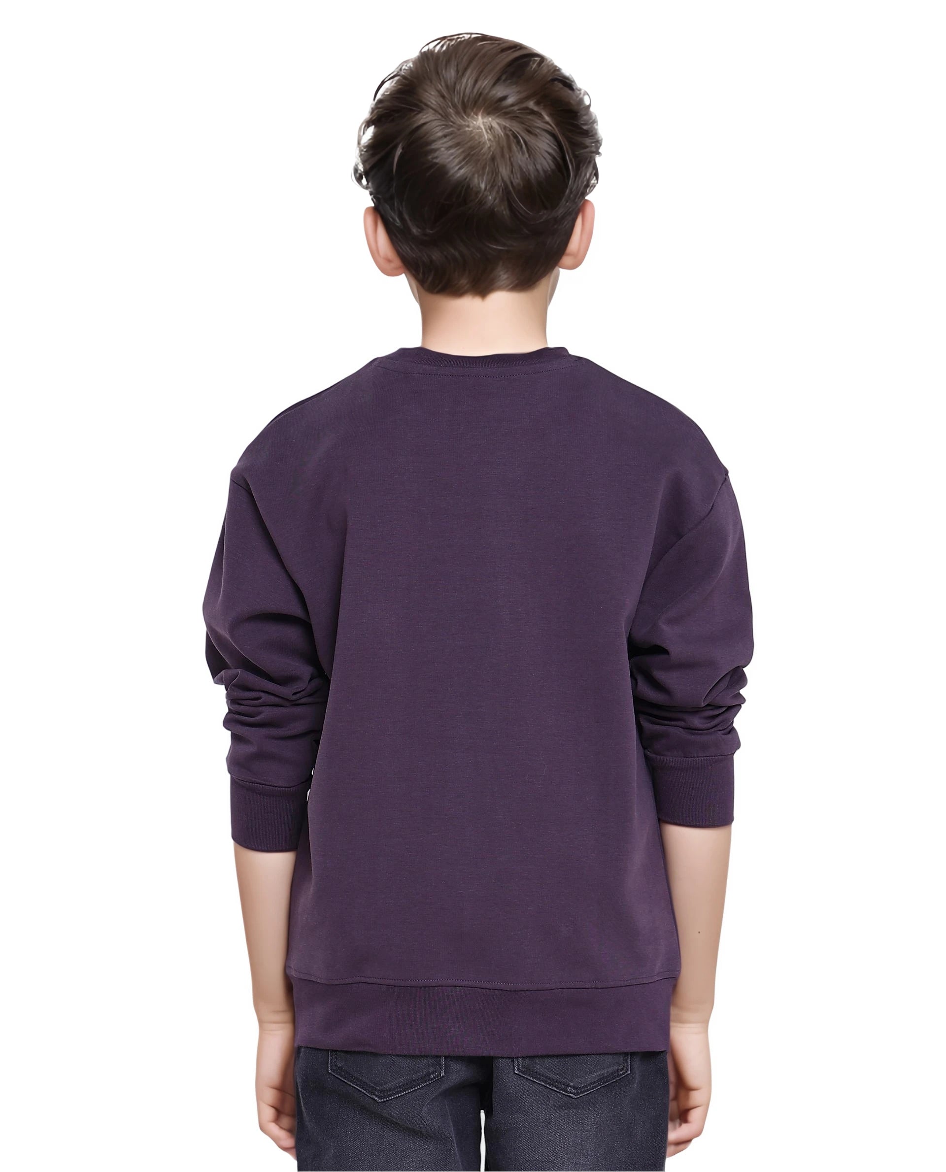 Rare Ones Kids Poks Dark Purple Cotton Full Sleeve Hd Print And Discharge Print Sweatshirt