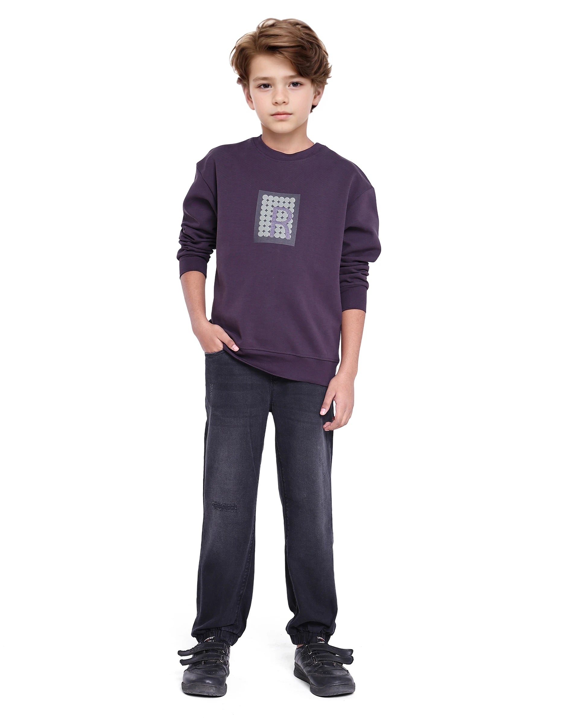 Rare Ones Kids Poks Dark Purple Cotton Full Sleeve Hd Print And Discharge Print Sweatshirt