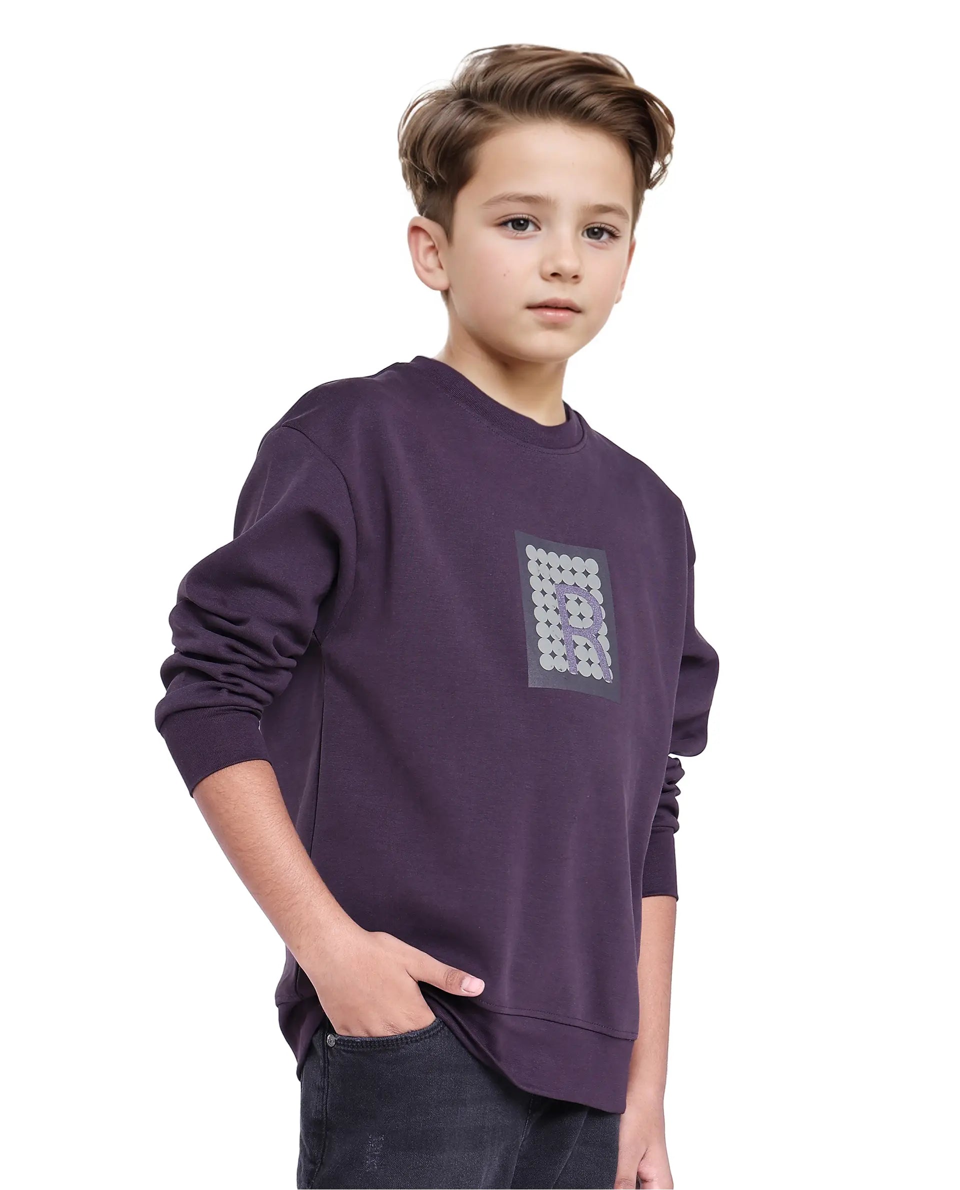 Rare Ones Kids Poks Dark Purple Cotton Full Sleeve Hd Print And Discharge Print Sweatshirt