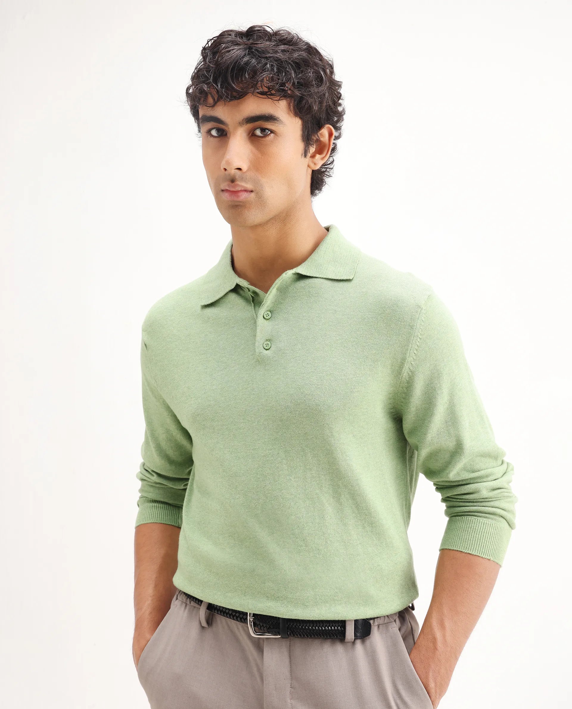 Rare Rabbit Men's Pyer Light Green Flat Knit Plain Regular Fit Full Sleeve Polo