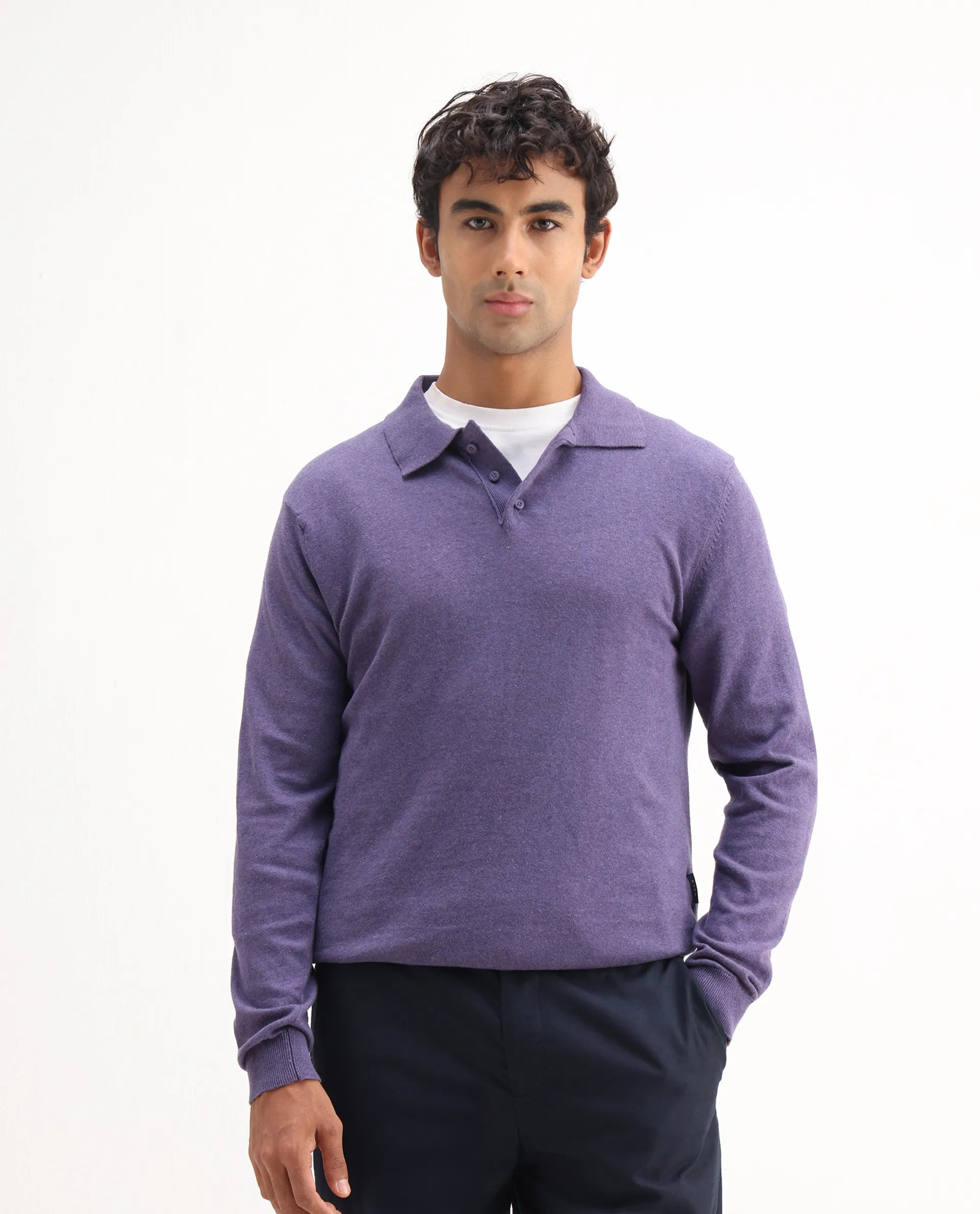 Rare Rabbit Men's Pyer Light Purple Flat Knit Plain Regular Fit Full Sleeve Polo