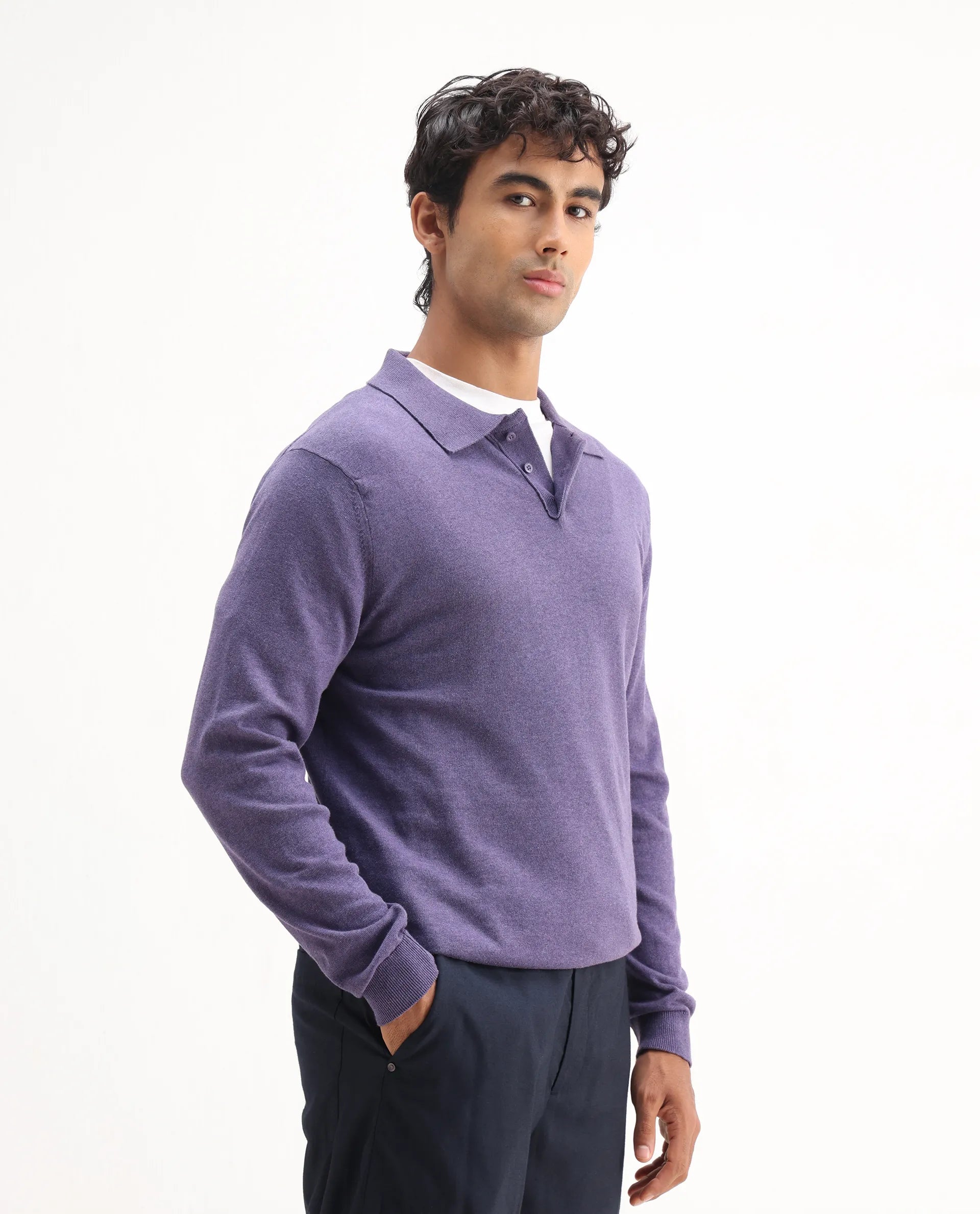 Rare Rabbit Men's Pyer Light Purple Flat Knit Plain Regular Fit Full Sleeve Polo