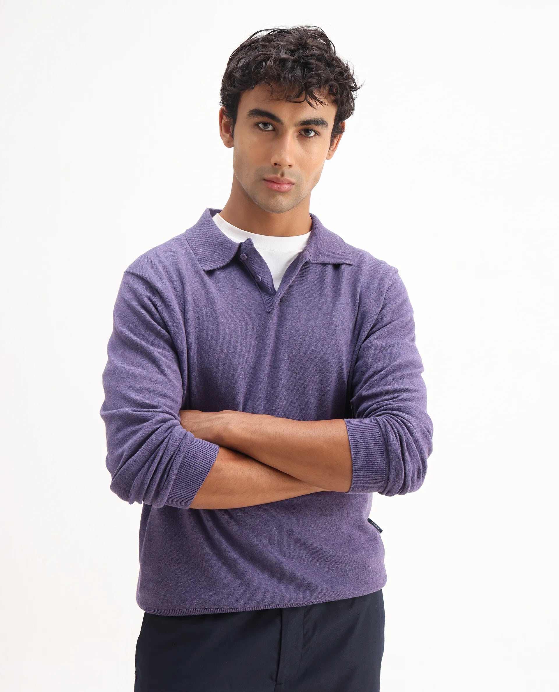 Rare Rabbit Men's Pyer Light Purple Flat Knit Plain Regular Fit Full Sleeve Polo