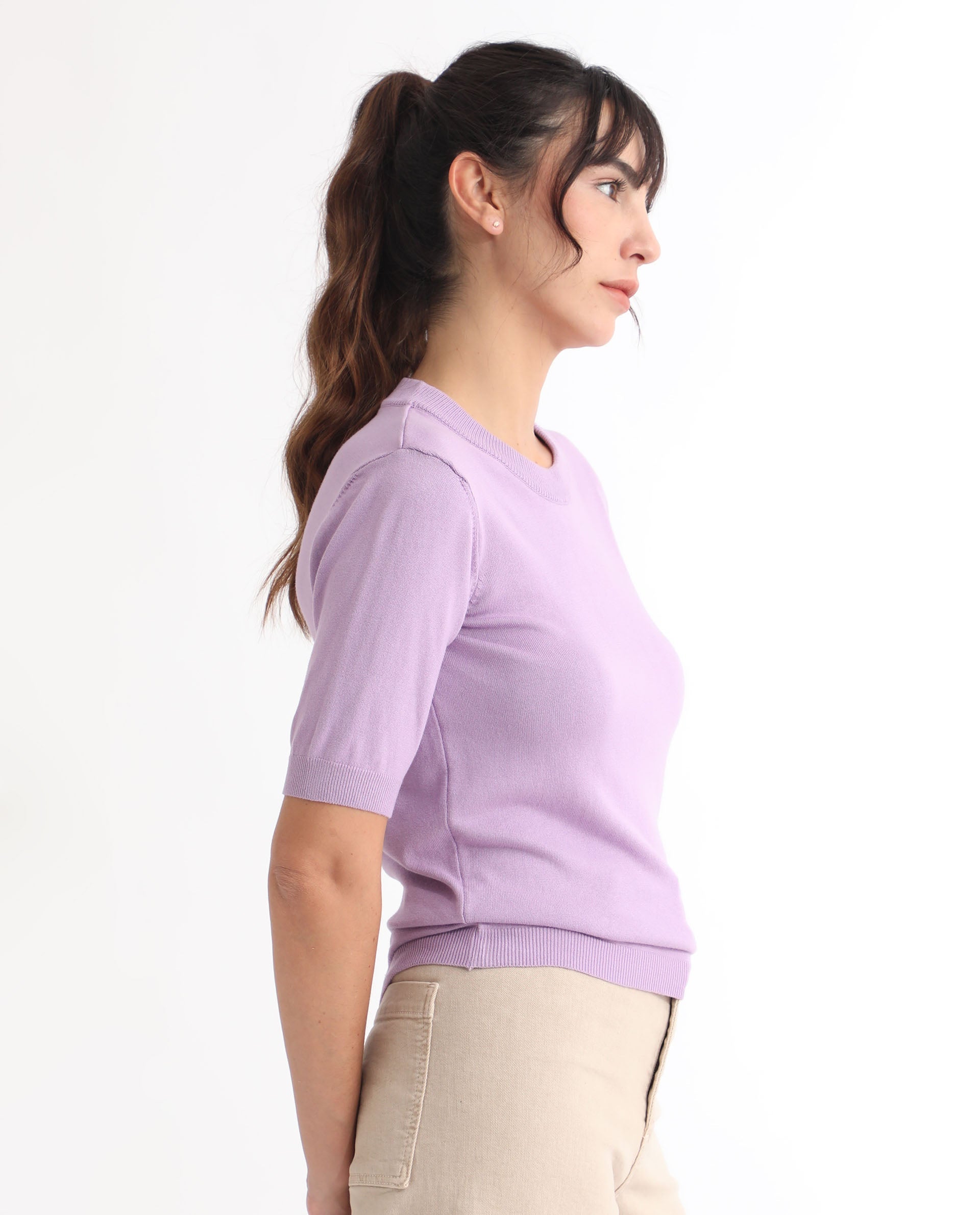 Rareism Women Rohrdo Pastel Purple Viscose Fabric Short Sleeves Round Neck Regular Fit Plain Sweater