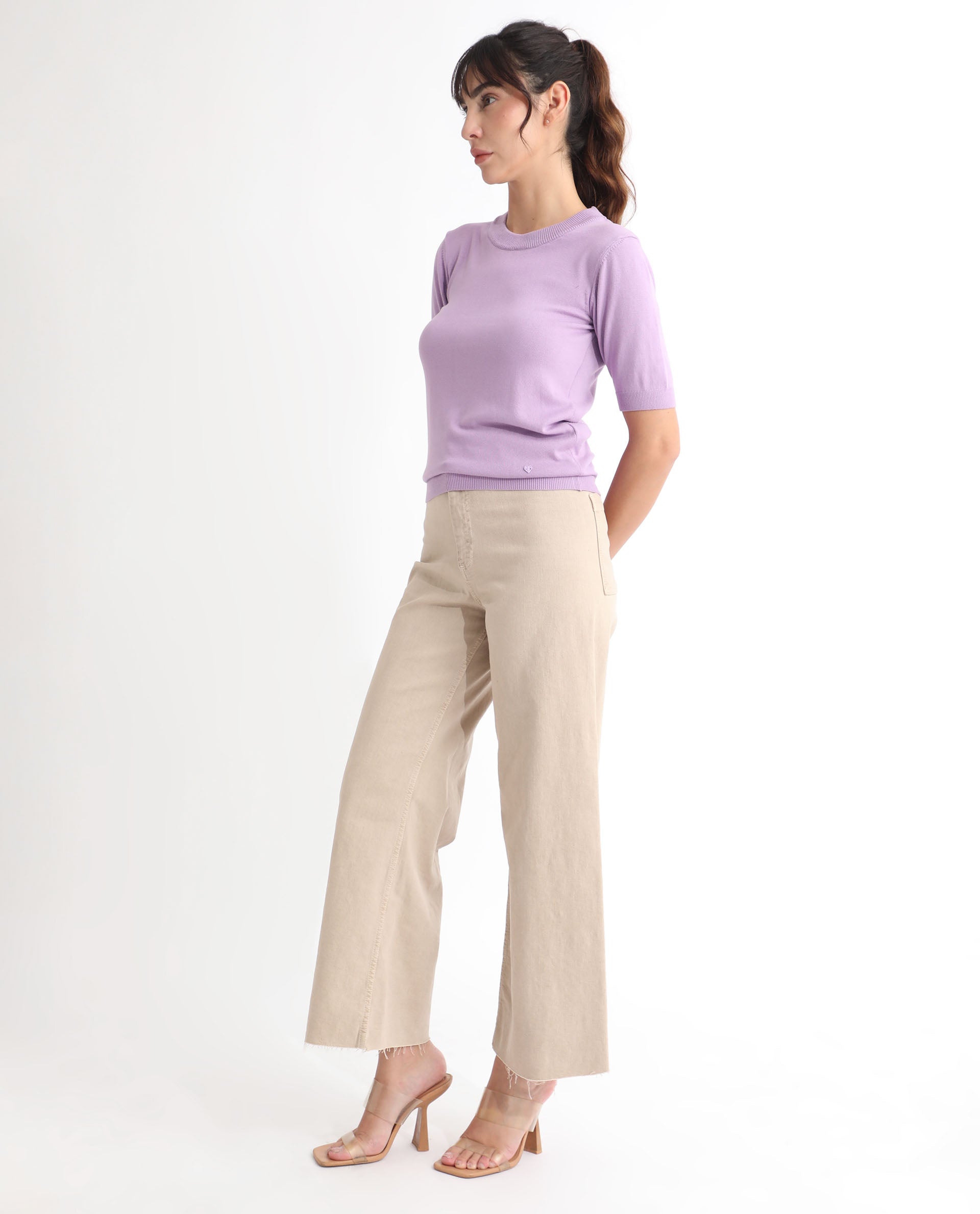 Rareism Women Rohrdo Pastel Purple Viscose Fabric Short Sleeves Round Neck Regular Fit Plain Sweater