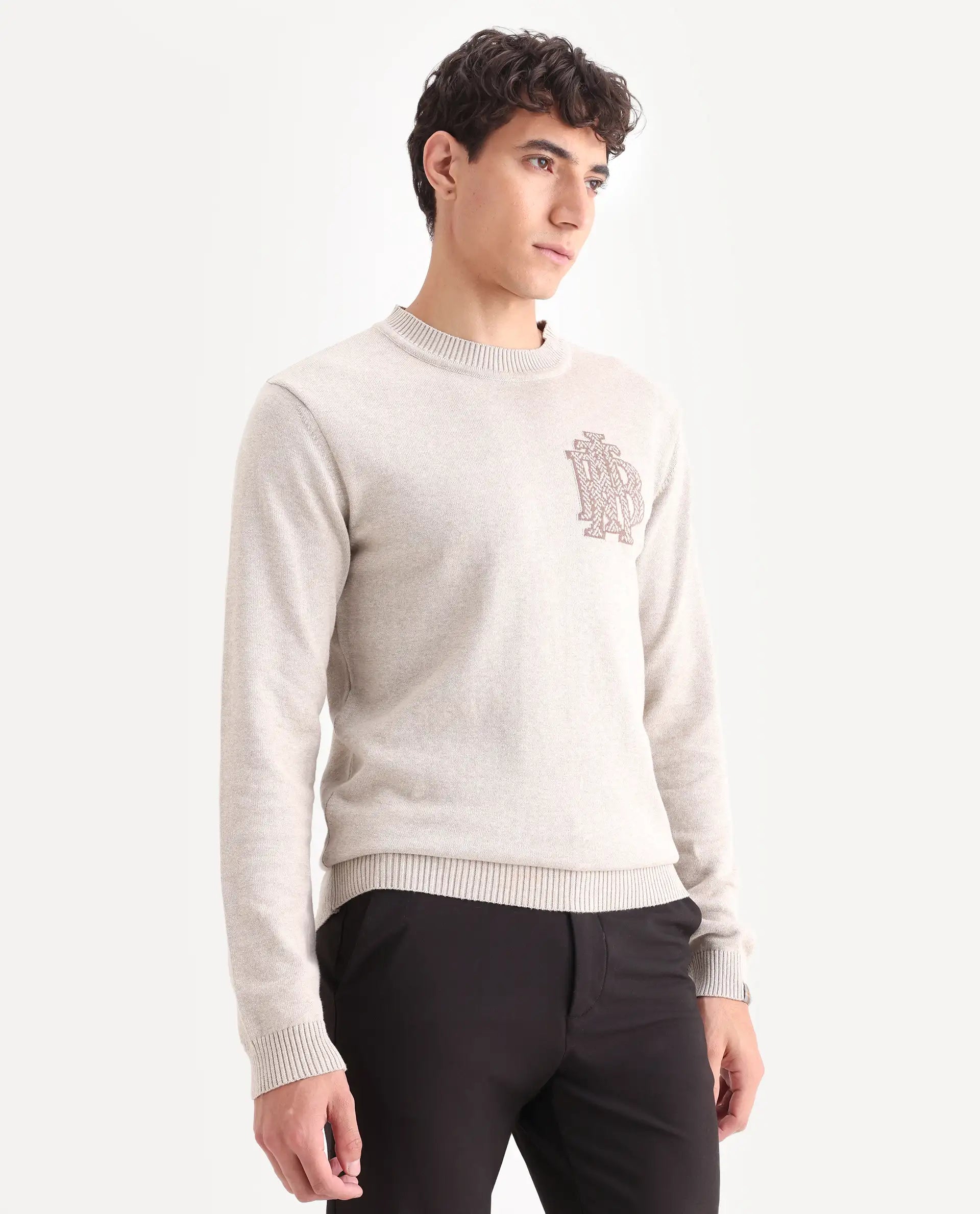 Rare Rabbit Men's Destin Beige Cotton Jacquard Regular Fit Full Sleeve Crew Neck Sweater