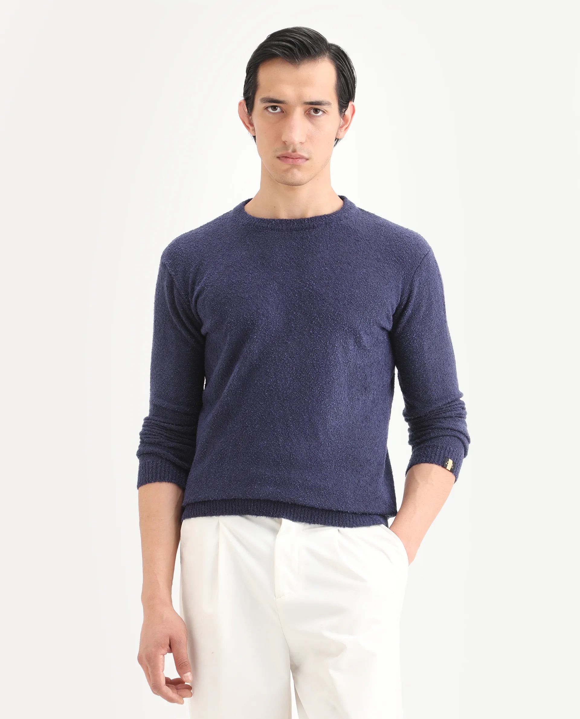 Rare Rabbit Men's Boule Purple Acrylic Blend Plain Regular Fit Full Sleeve Crew Neck Sweater