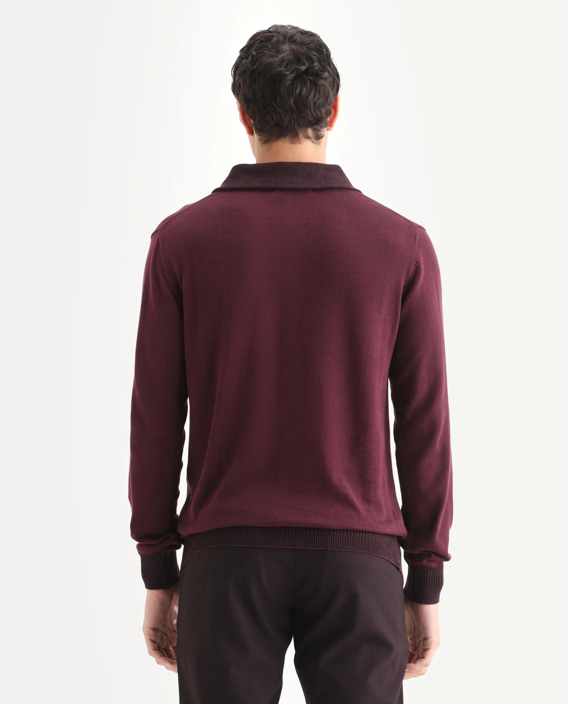 Rare Rabbit Men's Lyzo - Maroon Cotton Plain Regular Fit Full Sleeve Cowl Neck Sweater