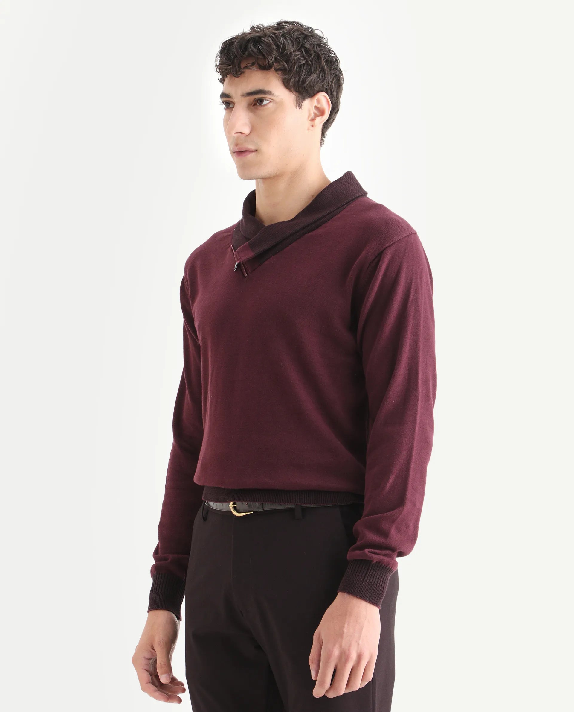Rare Rabbit Men's Lyzo - Maroon Cotton Plain Regular Fit Full Sleeve Cowl Neck Sweater