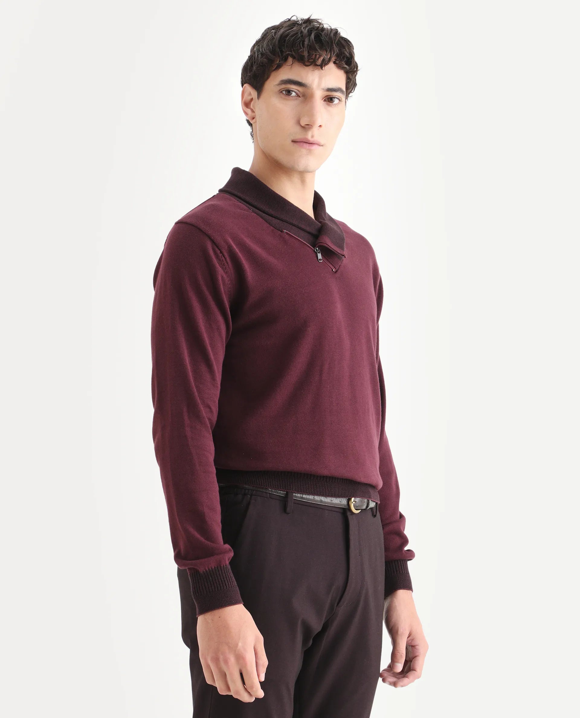 Rare Rabbit Men's Lyzo - Maroon Cotton Plain Regular Fit Full Sleeve Cowl Neck Sweater