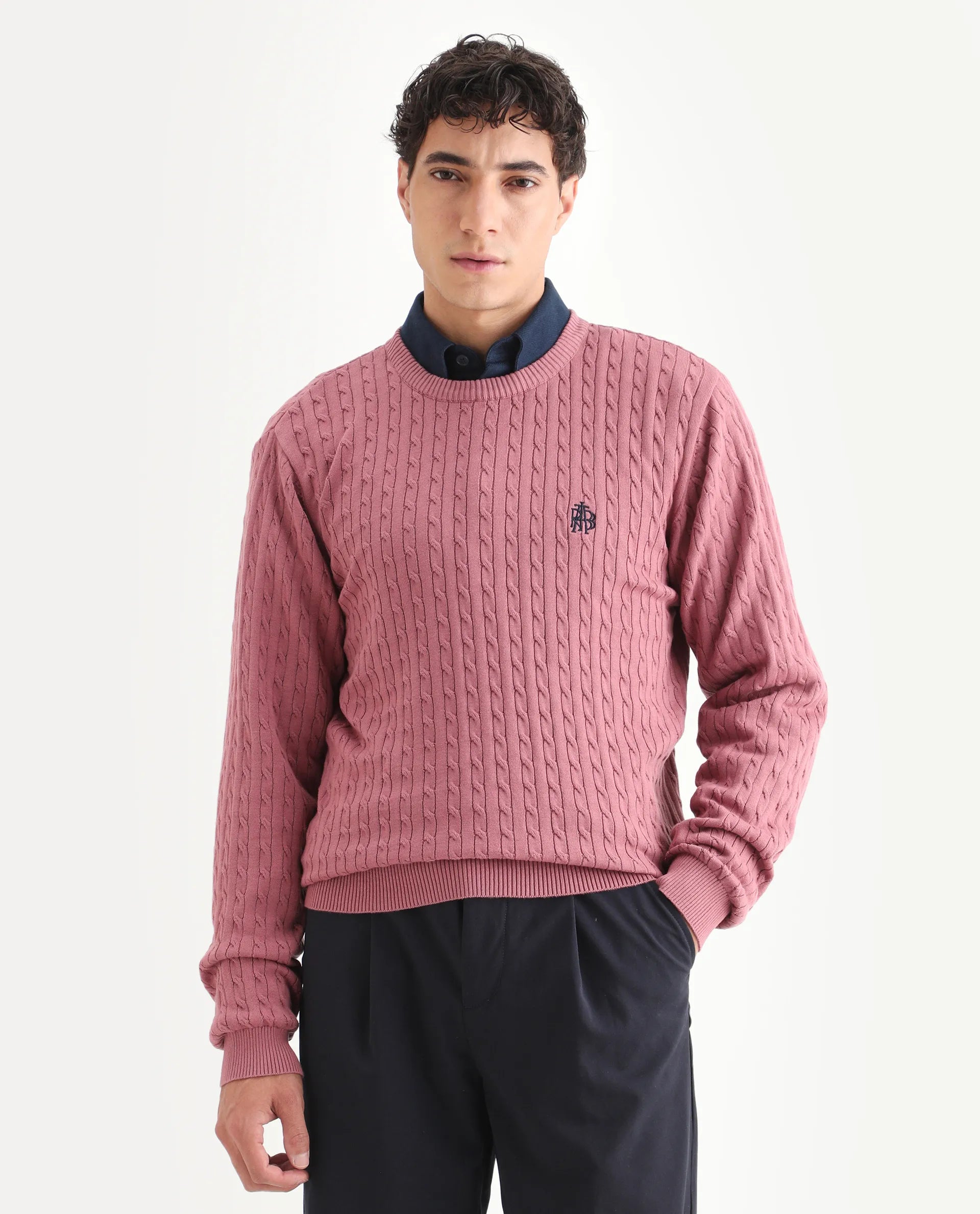 Rare Rabbit Men's Plain Regular Fit Full Sleeve Crew Neck Sweater