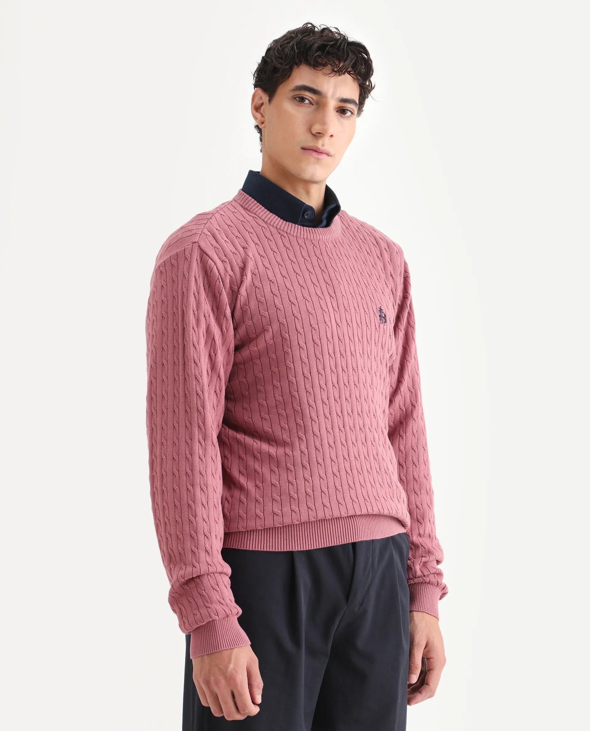 Rare Rabbit Men's Plain Regular Fit Full Sleeve Crew Neck Sweater