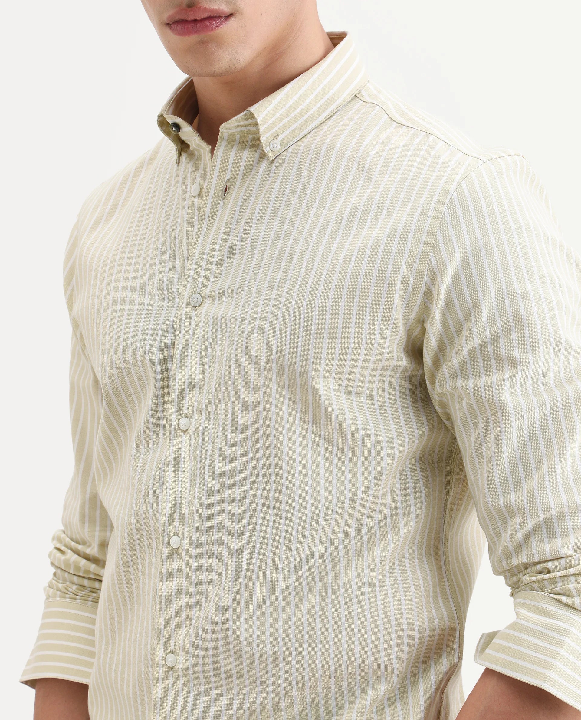 Rare Rabbit Men's Amble Dusky Green Cotton Blend Fabric Spread Collar Regular Fit Striped Shirt