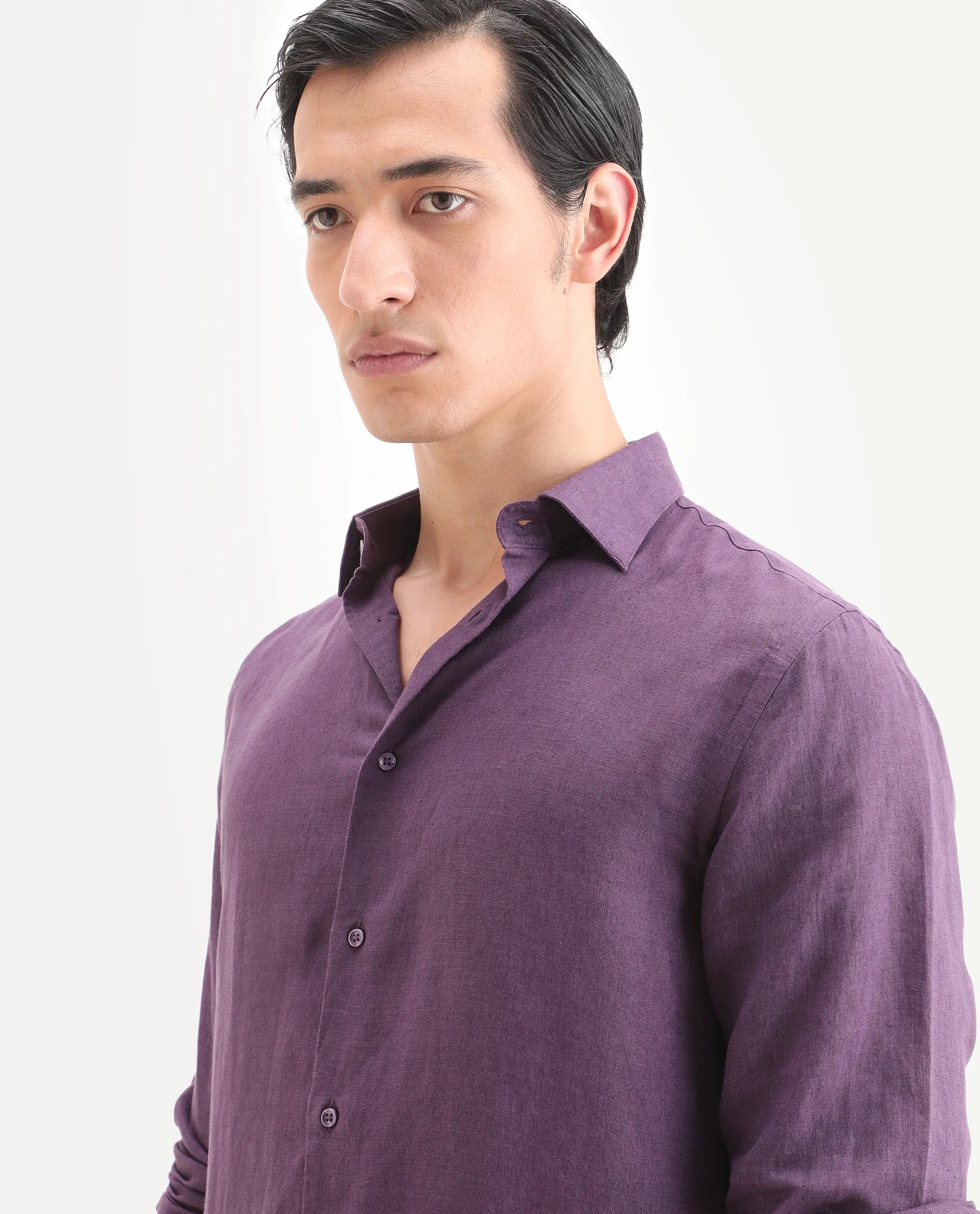 Rare Rabbit Men's Linex Ls Dark Purple Linen Blend Fabric Full Sleeve Spread Collar Regular Fit Plain Shirt