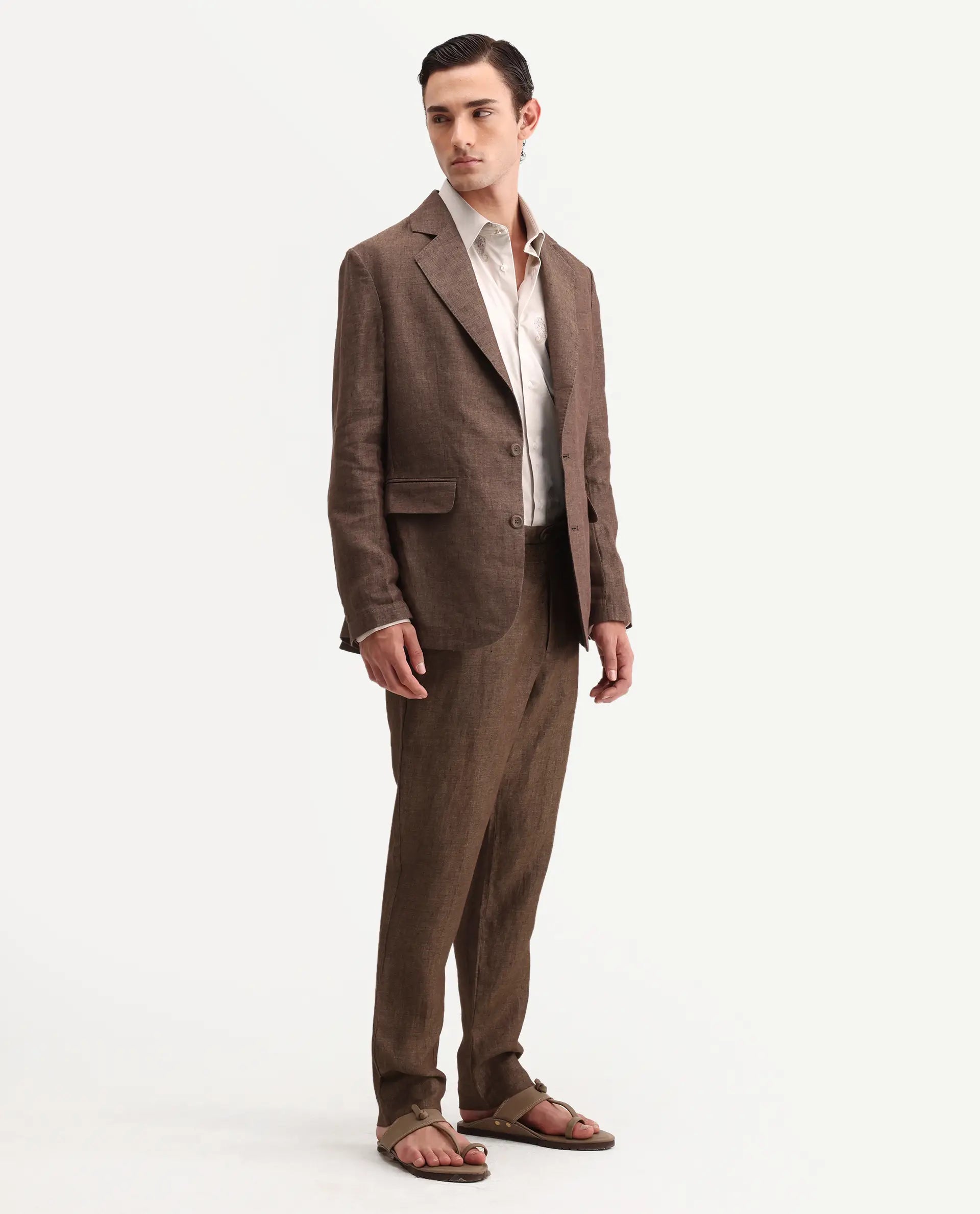 Rare Rabbit Men's Borium-T Brown Linen Fabric Regular Fit Plain Trouser