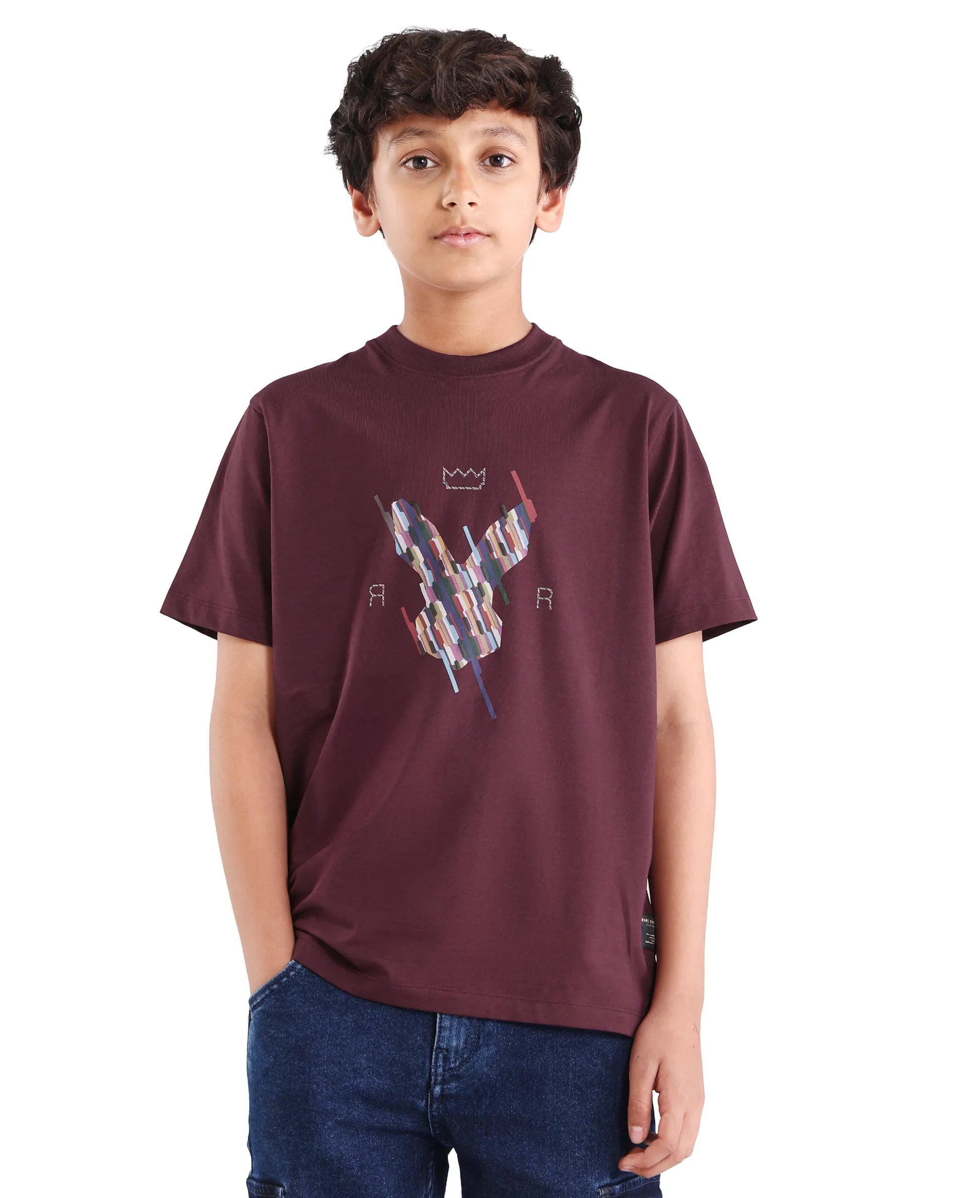 Rare Ones Kids Ure-K Dark Maroon Cotton Blend Fabric Pull-On Closure Hd Print Regular Fit T-Shirt
