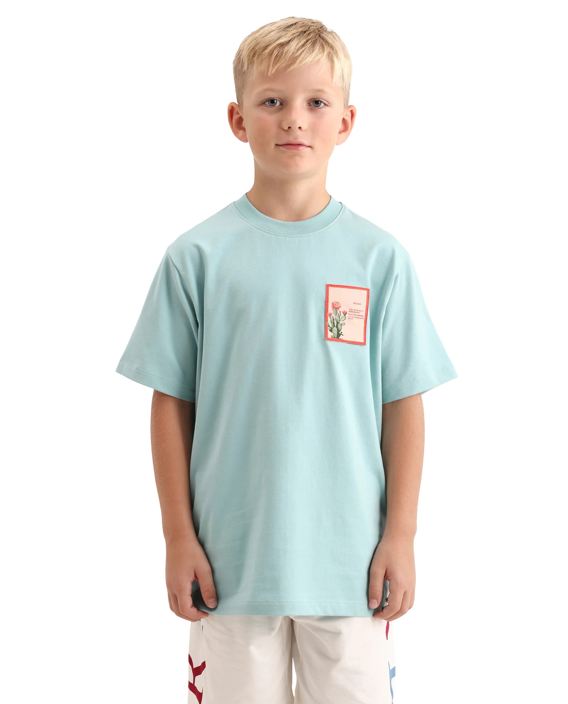 Rare Ones Kids Citz-26 Dusky Blue Cotton Blend Fabric Pull-On Closure Regular Fit T-Shirt