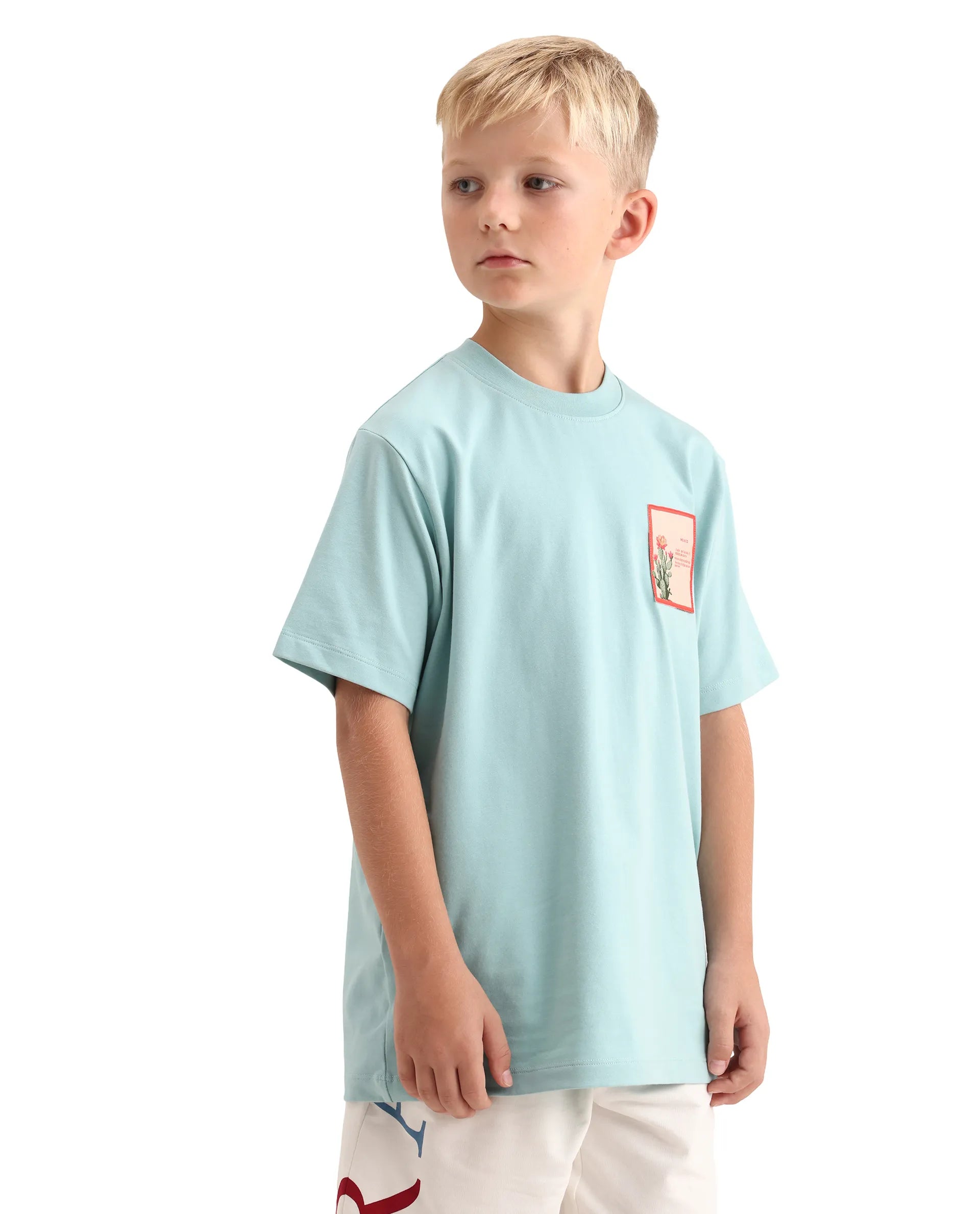 Rare Ones Kids Citz-26 Dusky Blue Cotton Blend Fabric Pull-On Closure Regular Fit T-Shirt