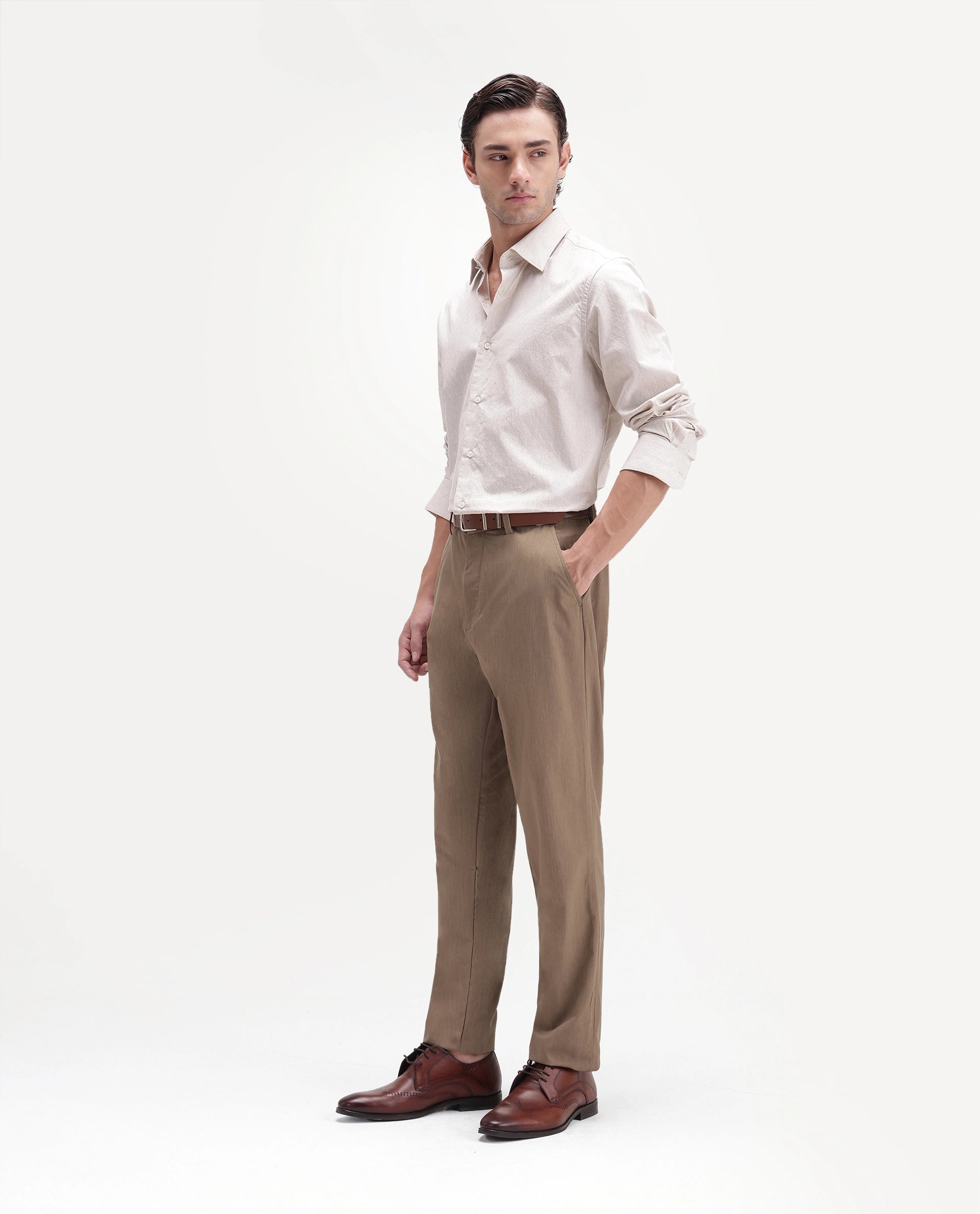Rare Rabbit Men's Edom-B Light Brown Polyester Blend Fabric Regular Fit Plain Trouser