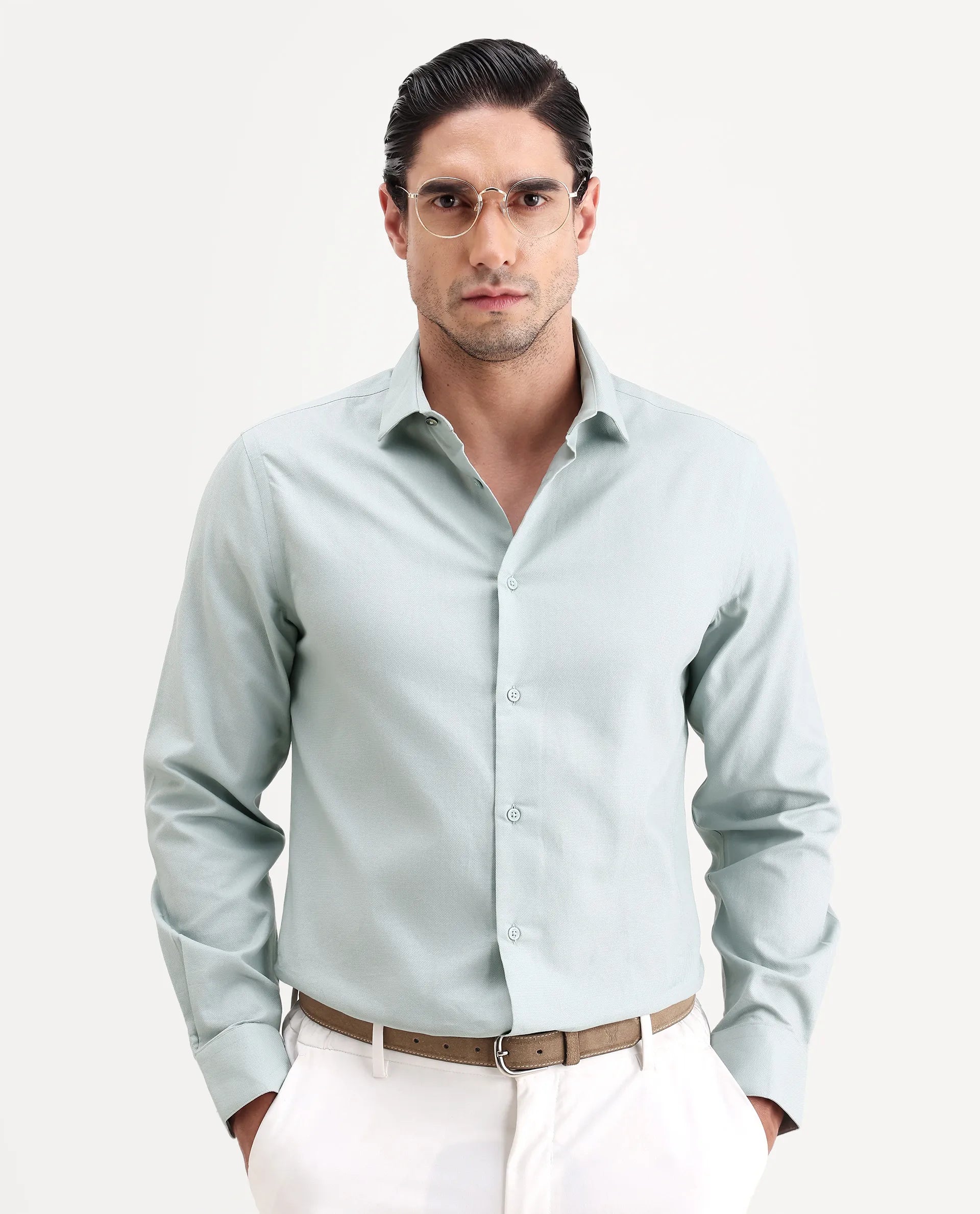 Rare Rabbit Men's Lasko-26 Light Green Cotton Fabric Full Sleeve Spread Collar Regular Fit Plain Shirt