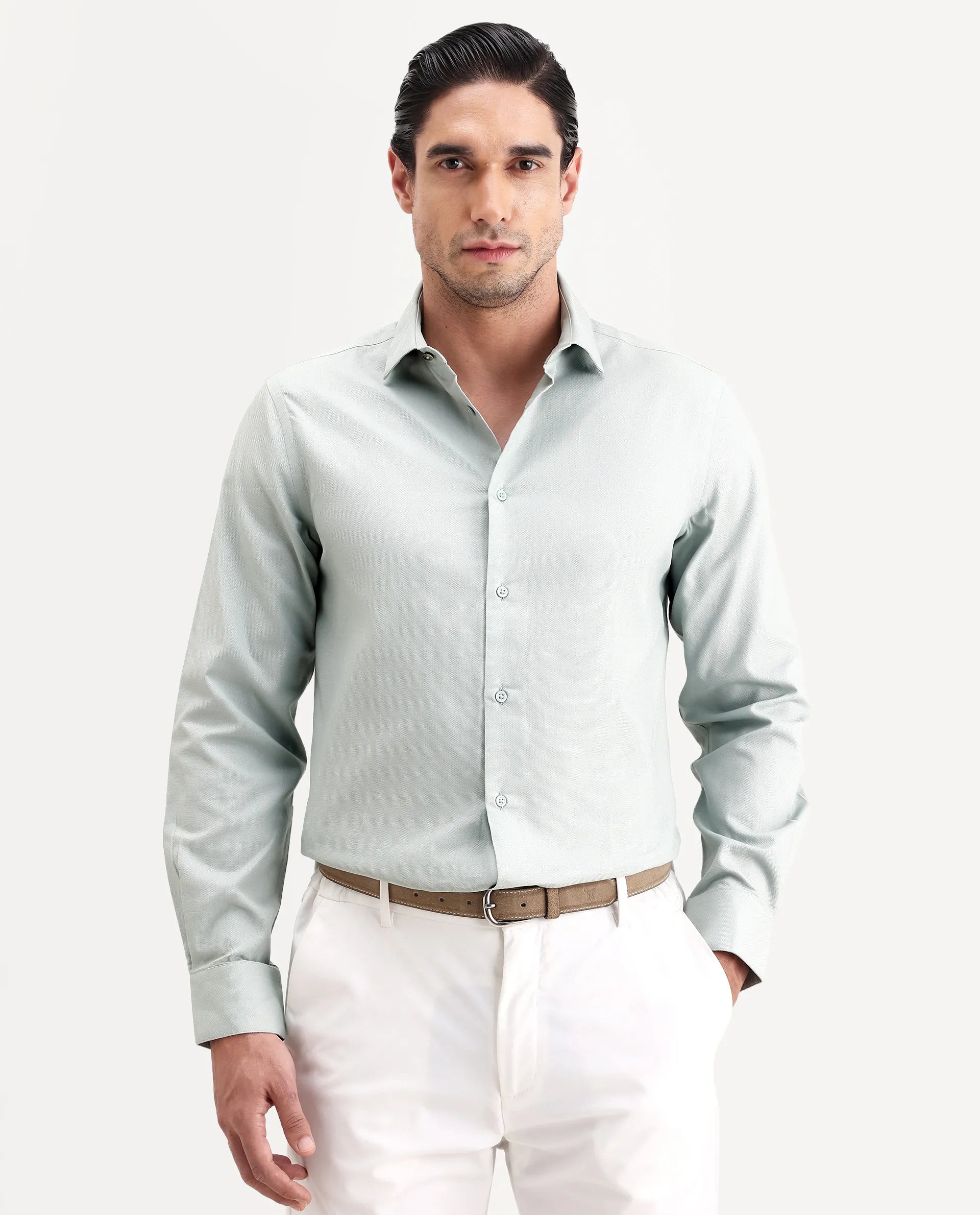 Rare Rabbit Men's Lasko-26 Light Green Cotton Fabric Full Sleeve Spread Collar Regular Fit Plain Shirt
