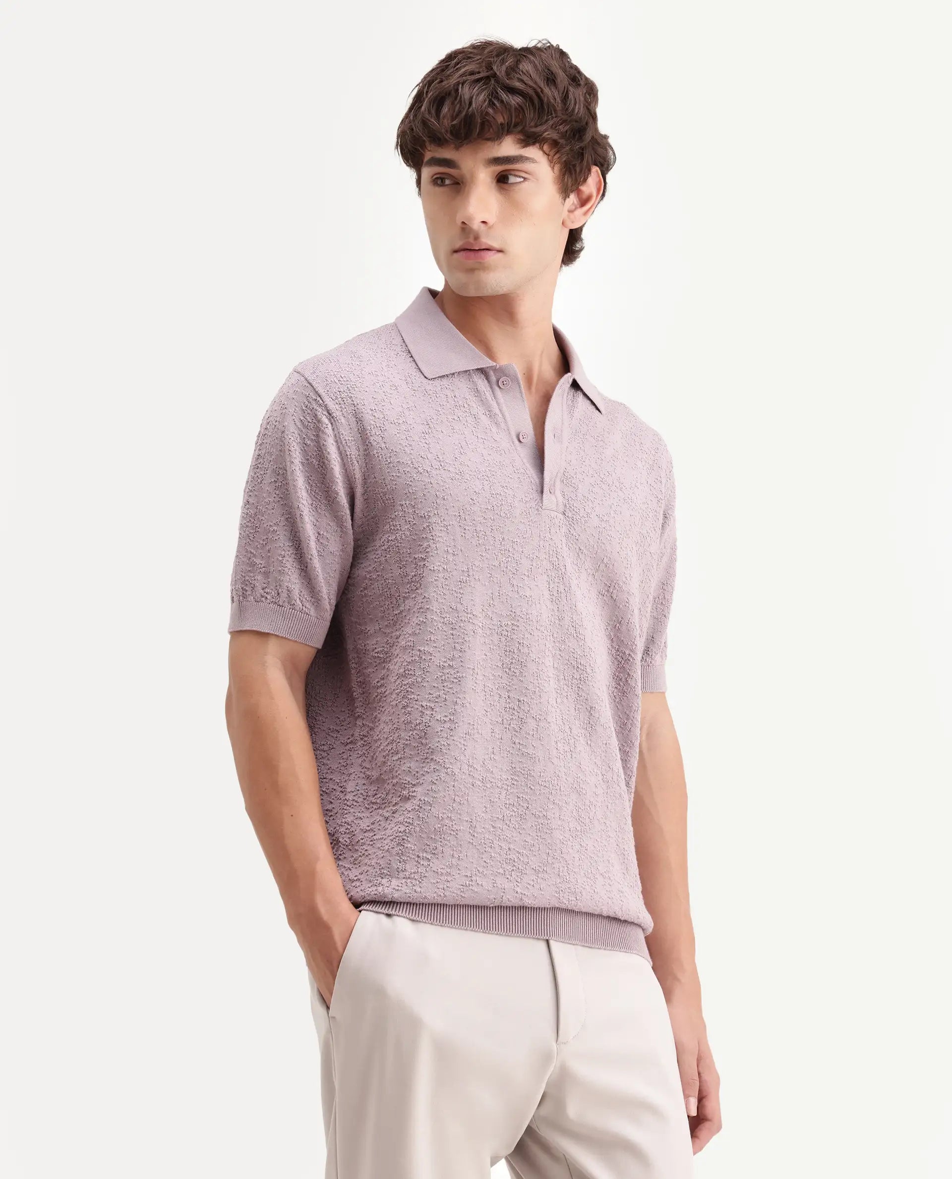 Rare Rabbit Men's Mont Dusky Purple Cotton Spread Collar Button Closure Regular Fit Textured Polo