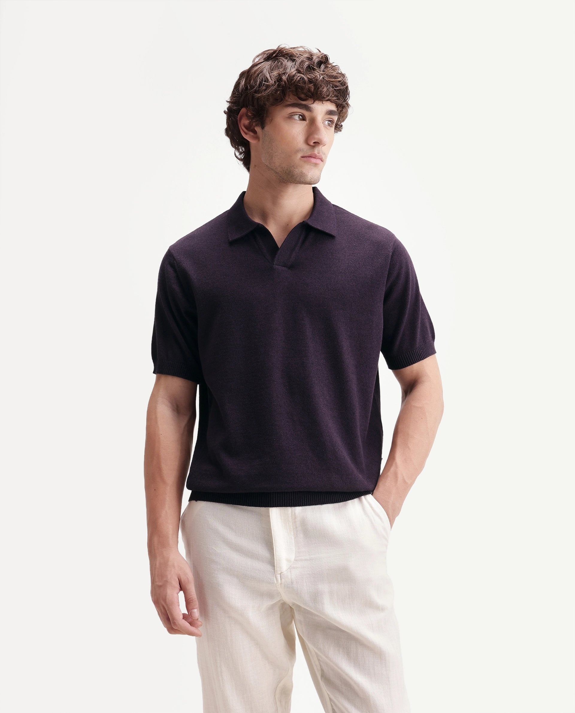 Rare Rabbit Men's Aldro Dark Purple Cotton Blend Johnny Collar Regular Plain Polo