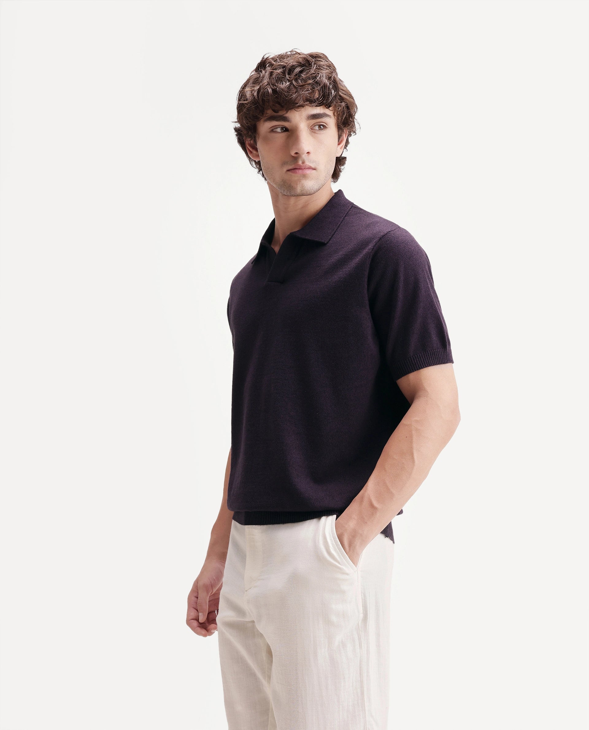 Rare Rabbit Men's Aldro Dark Purple Cotton Blend Johnny Collar Regular Plain Polo