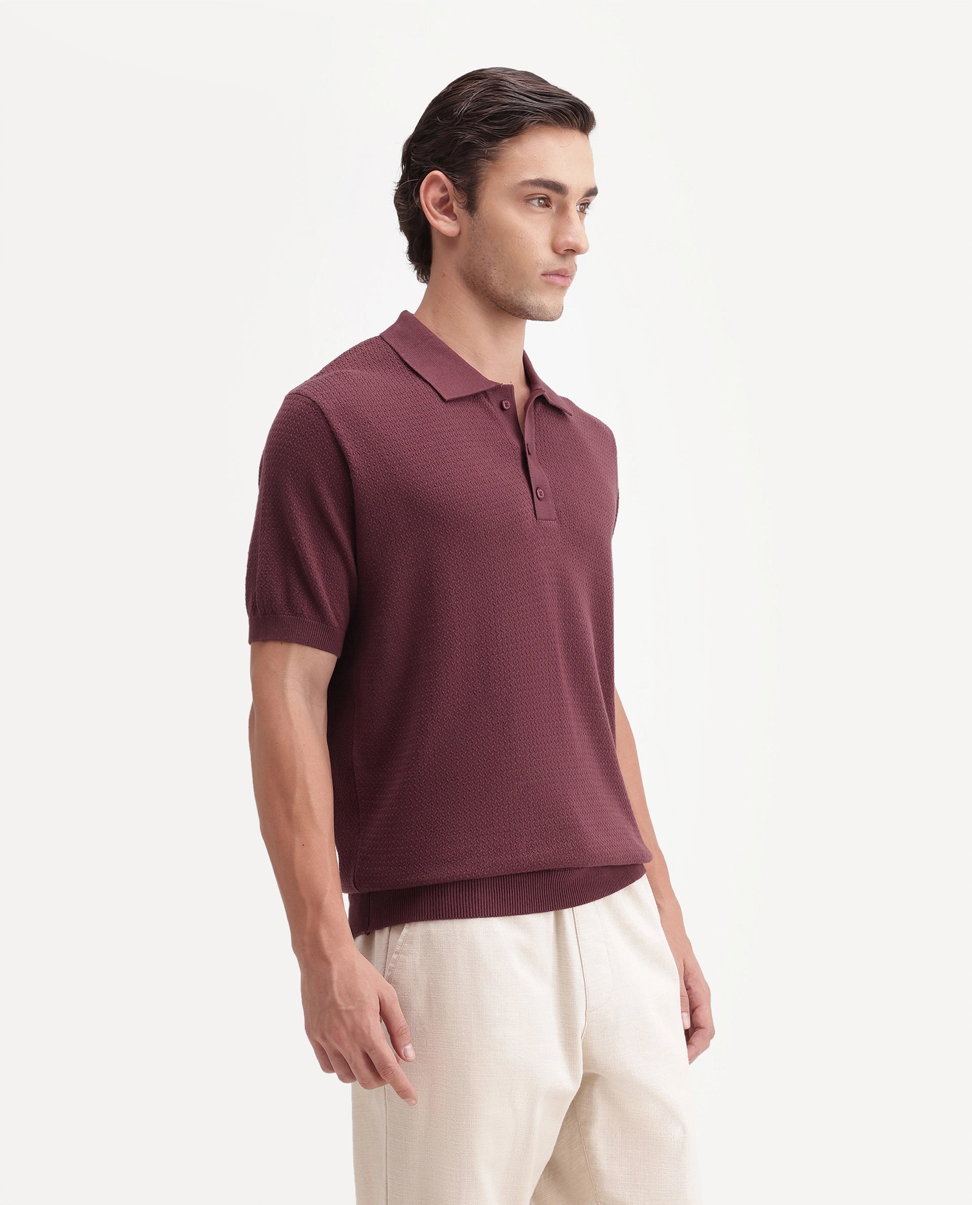 Rare Rabbit Men's Tine Maroon Cotton Spread Collar Regular Textured Polo