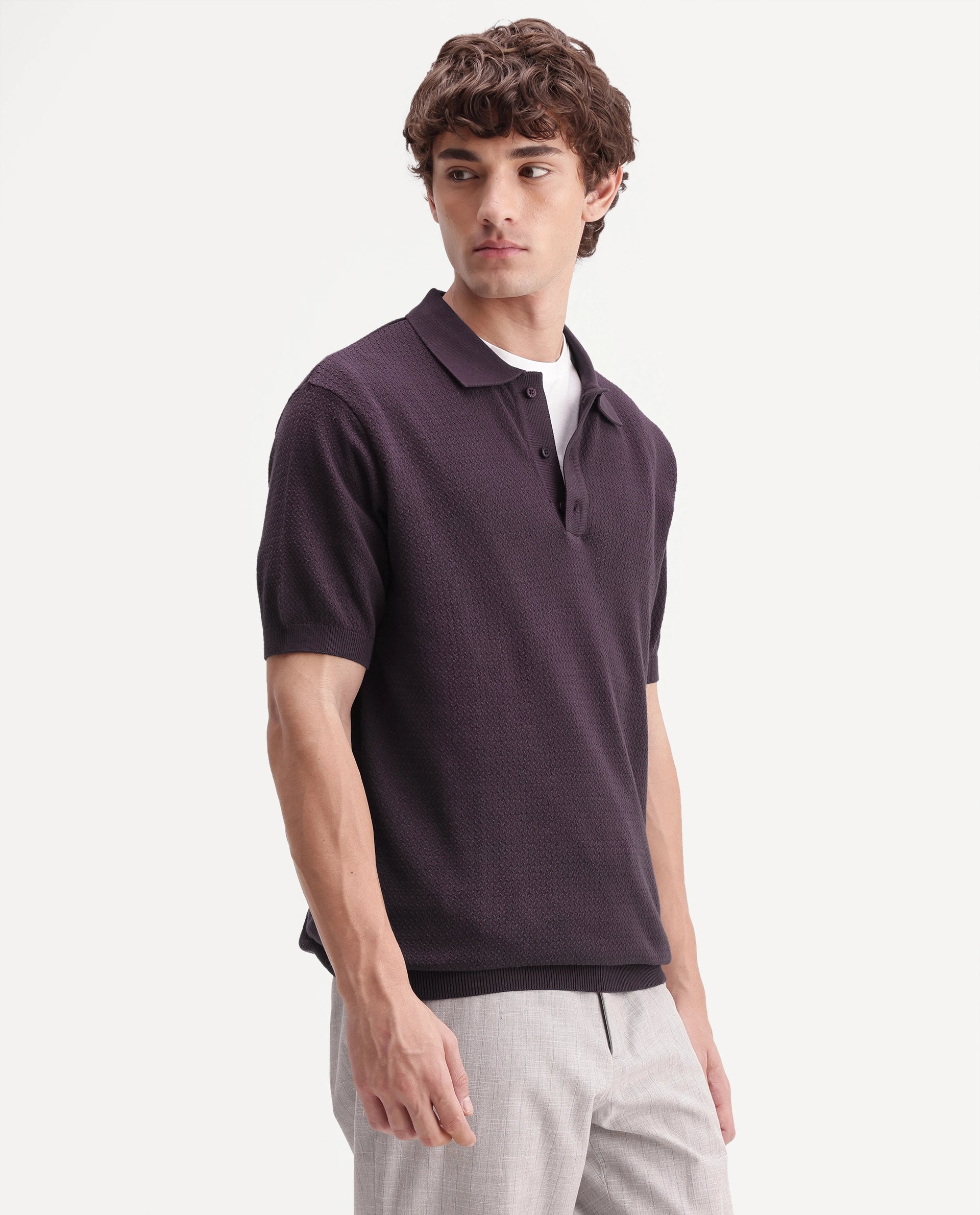 Rare Rabbit Men's Tine Dark Purple Cotton Regular Short Sleeves Polo Textured Shirt