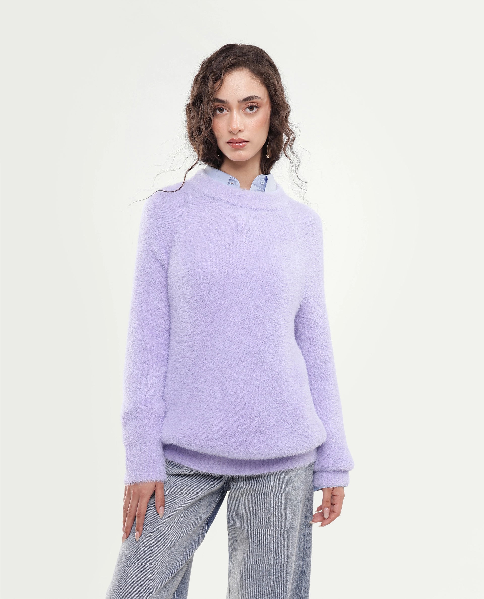 Rareism Women's Mitsi Light Purple Plain Nylon Relaxed Long Sleeves Sweater