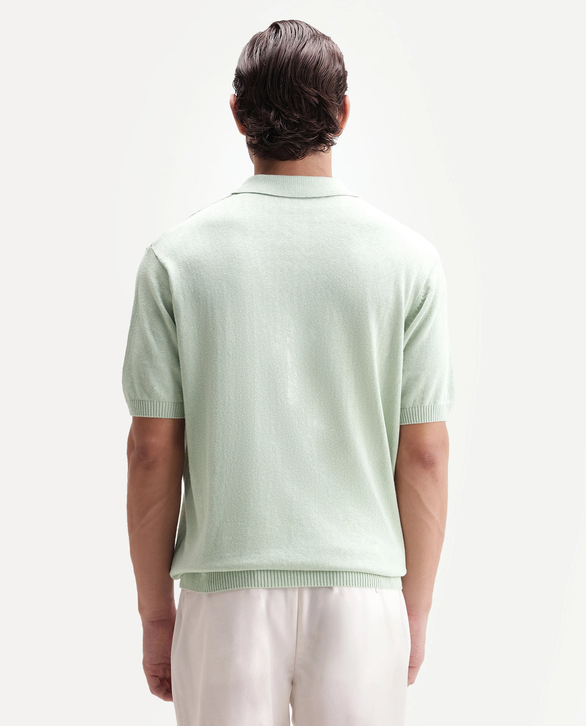 Rare Rabbit Men's Linok Light Green Linen Blend Spread Collar Button Regular Plain Polo