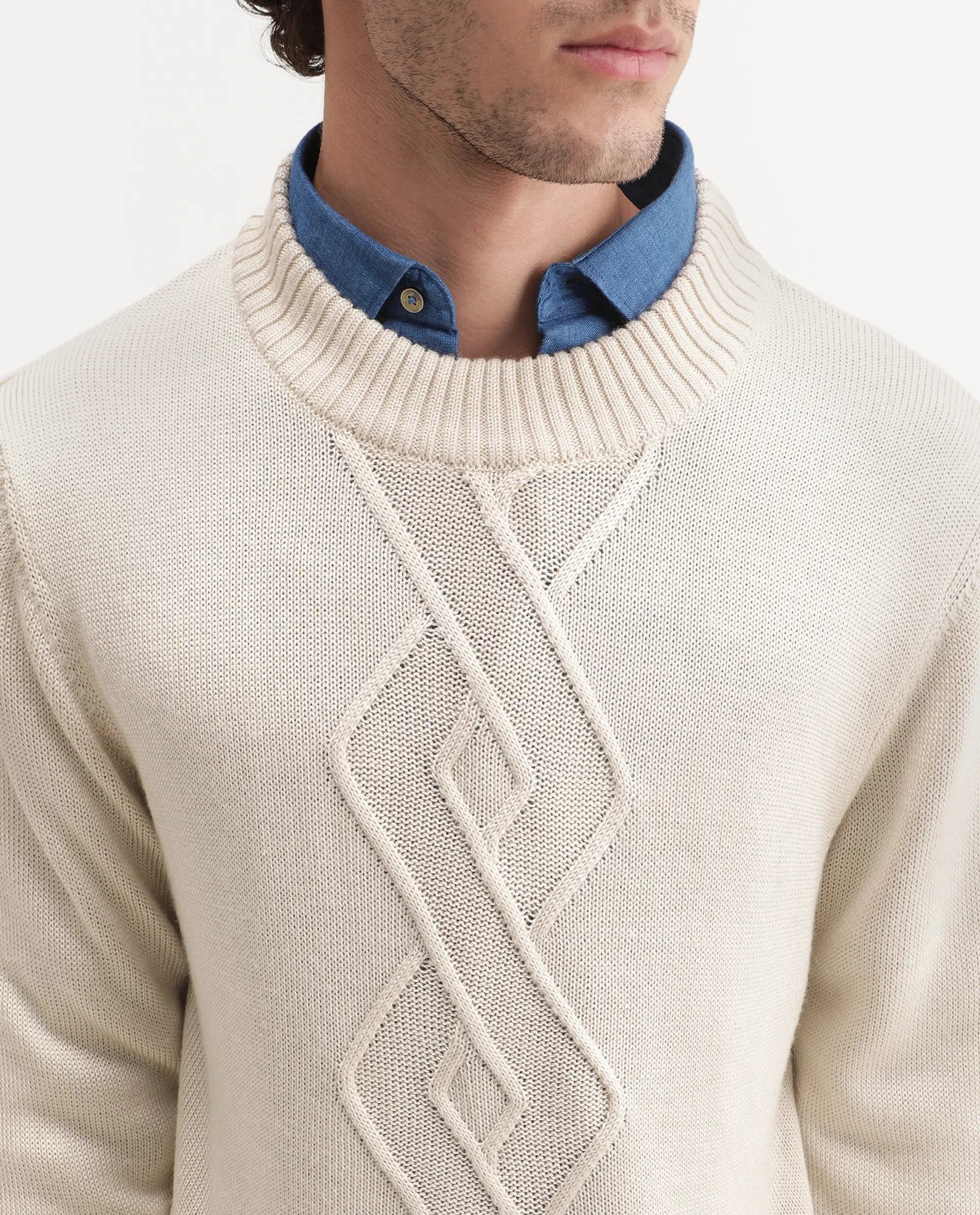Rare Rabbit Men's Frab Light Beige Acrylic Crew Neck Regular Fit Jacquard Sweater