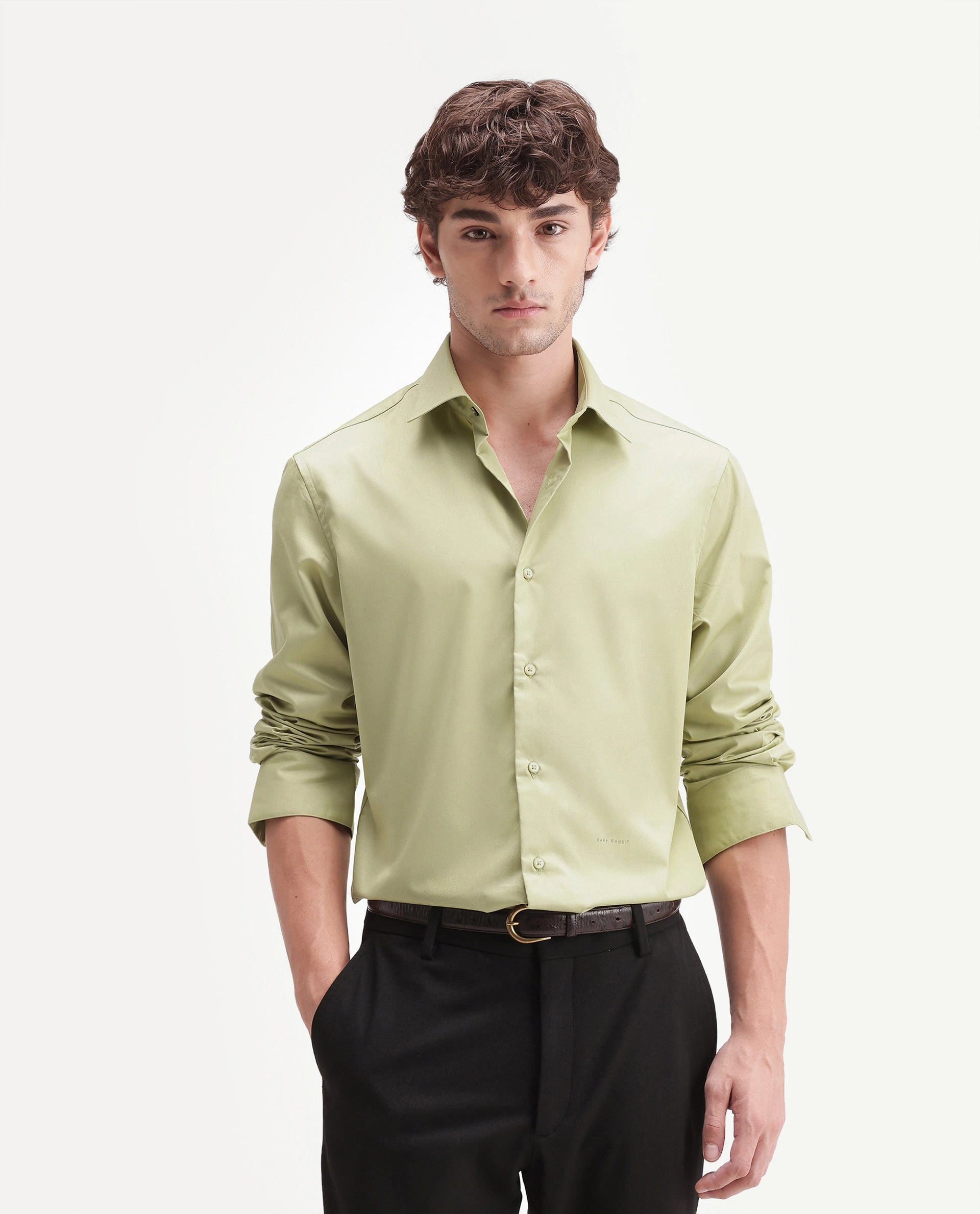 Rare Rabbit Men's Aston Light Green Polyester Blend Spread Collar Button Regular Plain Shirt