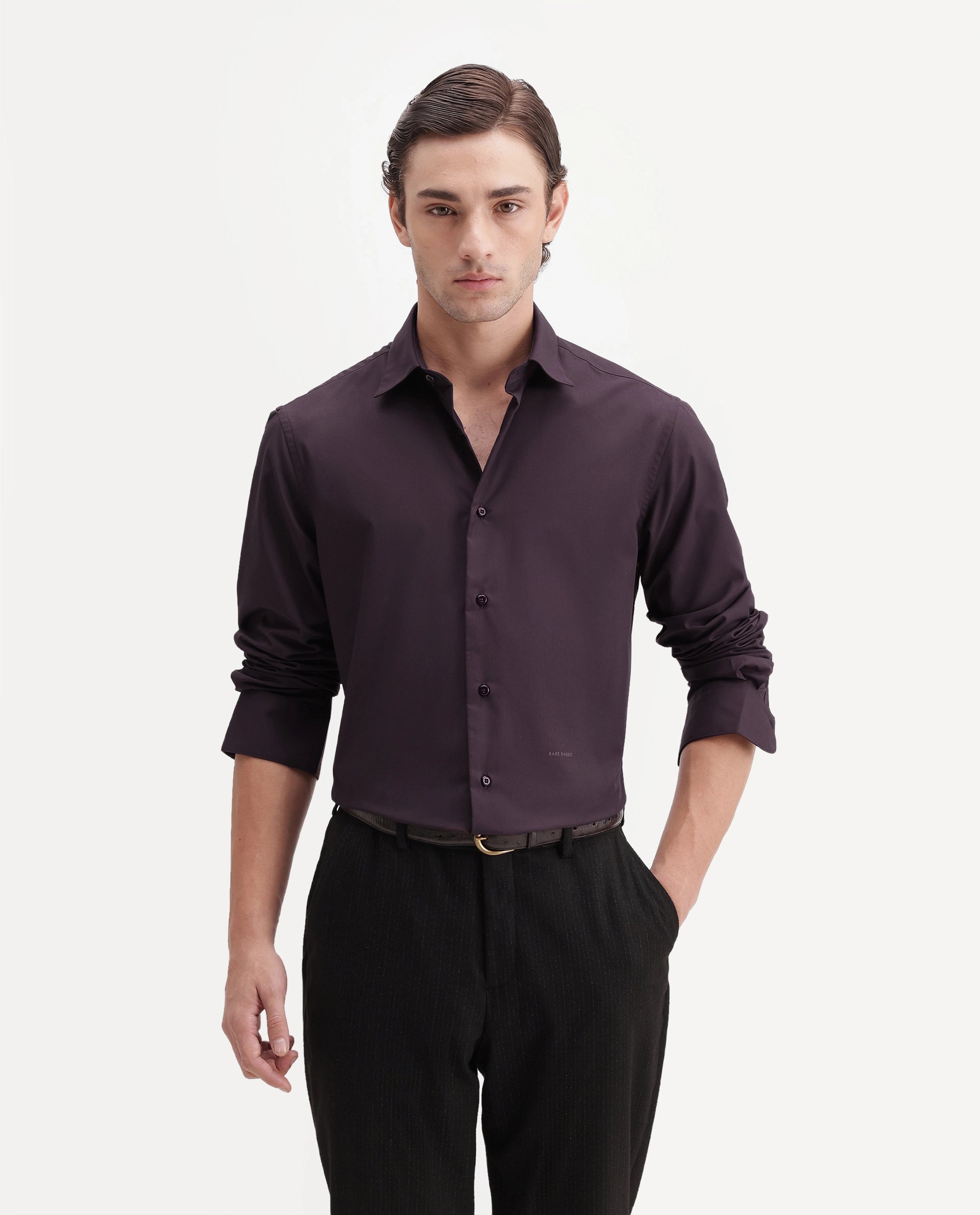 Rare Rabbit Men's Rovin Dark Brown Polyester Blend Spread Collar Button Regular Plain Shirt