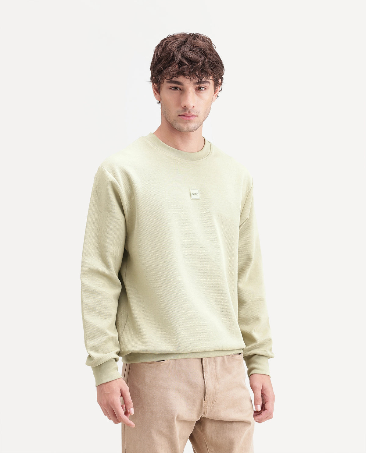 Rare Rabbit Men's Badgez Light Green Cotton Blend Crew Neck Regular Plain Sweatshirt