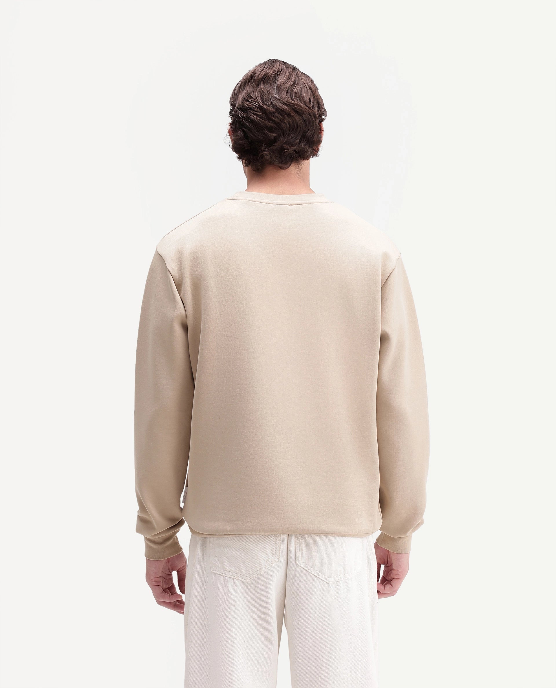 Rare Rabbit Men's Leko Light Beige Cotton Blend Crew Neck Regular Embroidered Sweatshirt
