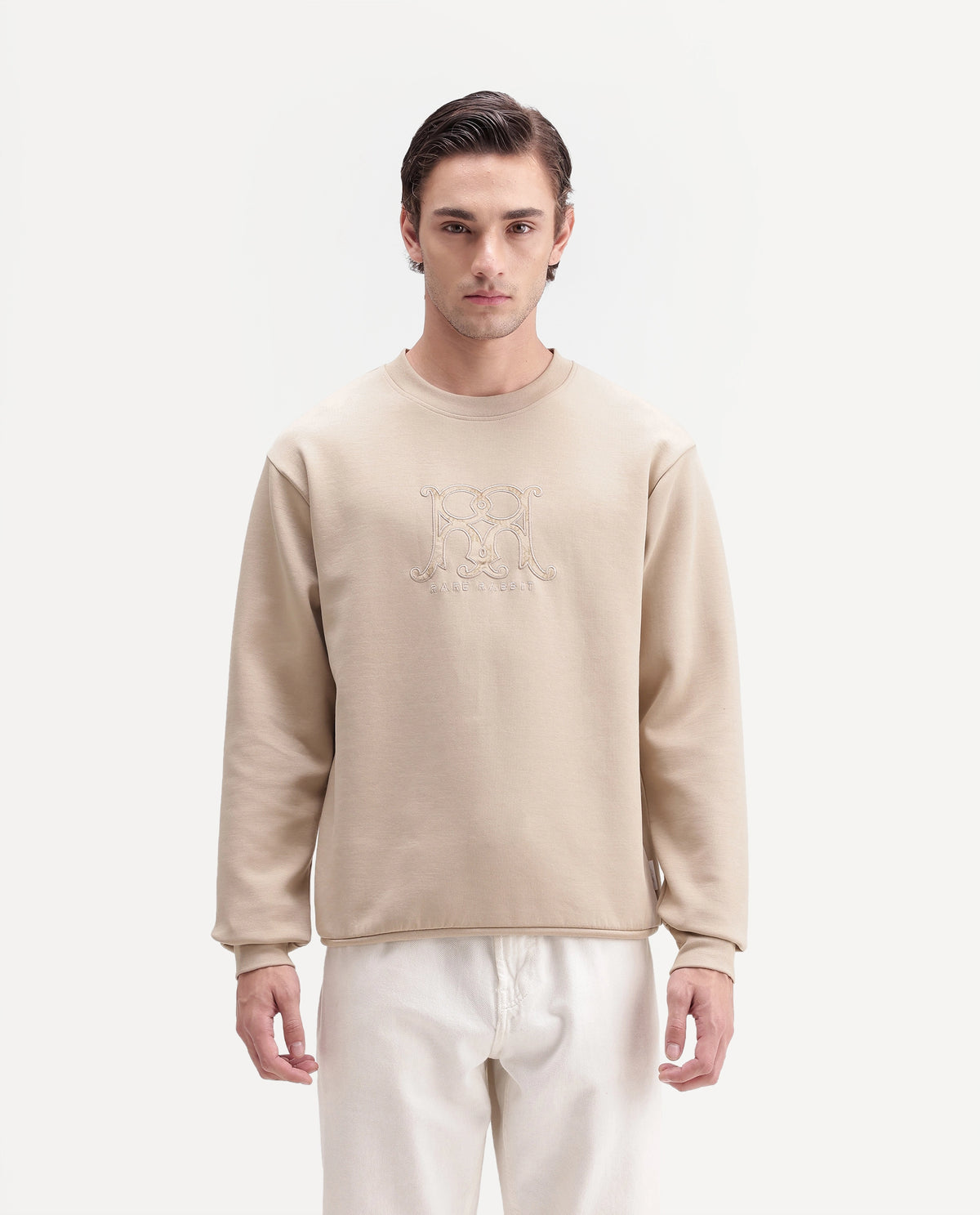 Rare Rabbit Men's Leko Light Beige Cotton Blend Crew Neck Regular Embroidered Sweatshirt